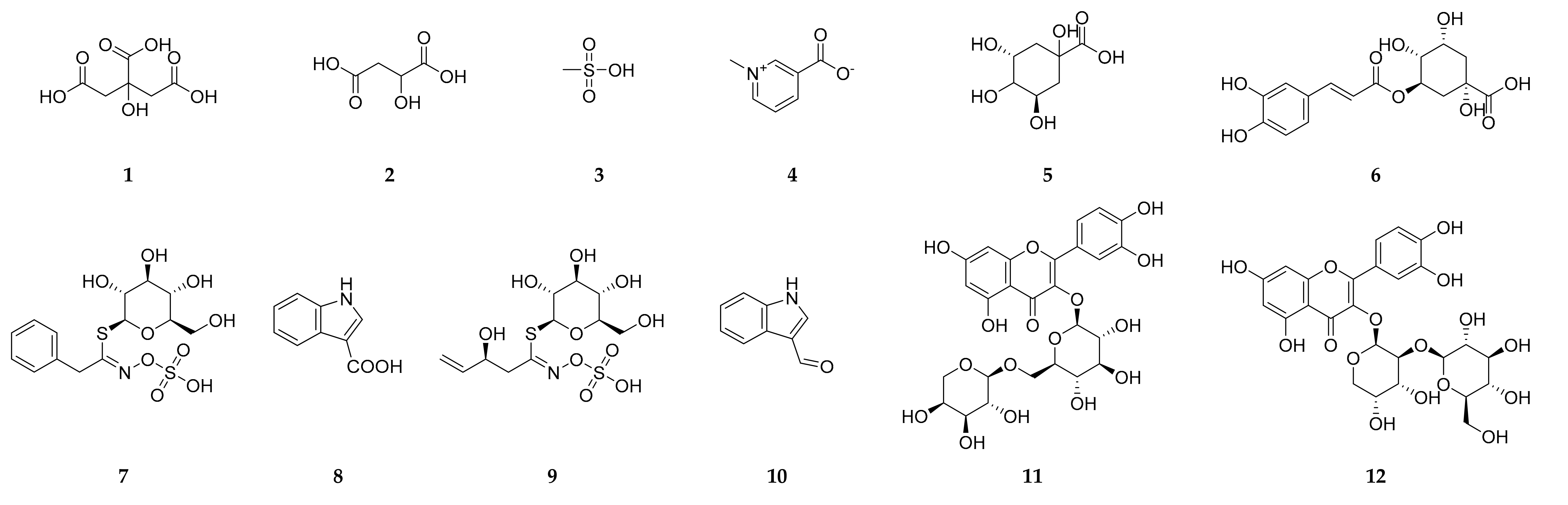 Antioxidants 09 01286 g004a Antioxidants 09 01286 g004a