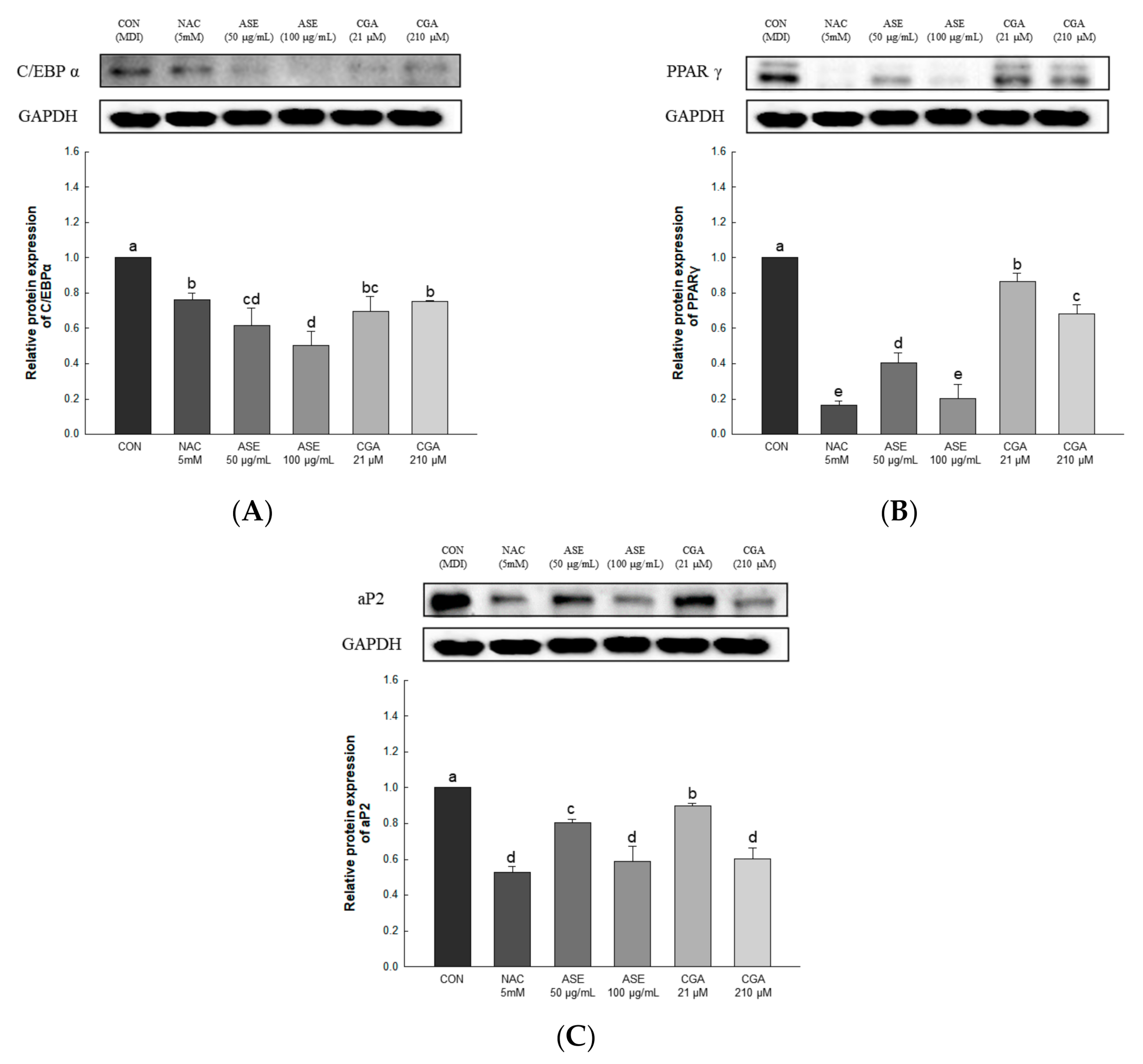 Antioxidants 09 01290 g008