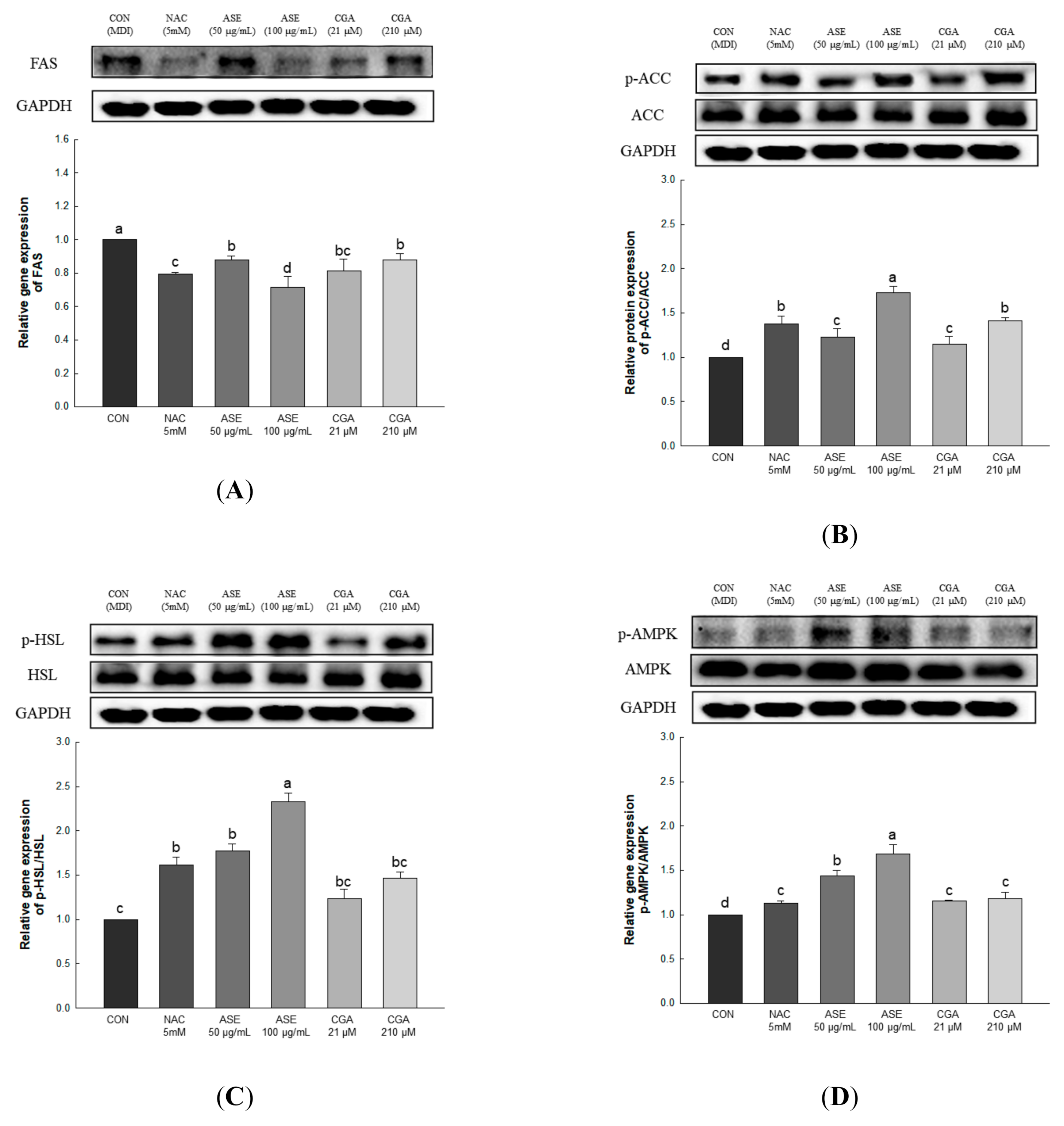 Antioxidants 09 01290 g009
