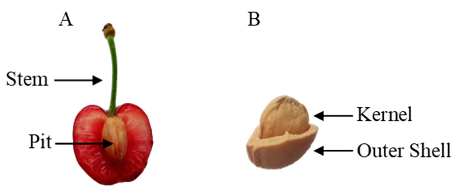 Antioxidants 09 01295 g001 Antioxidants 09 01295 g001