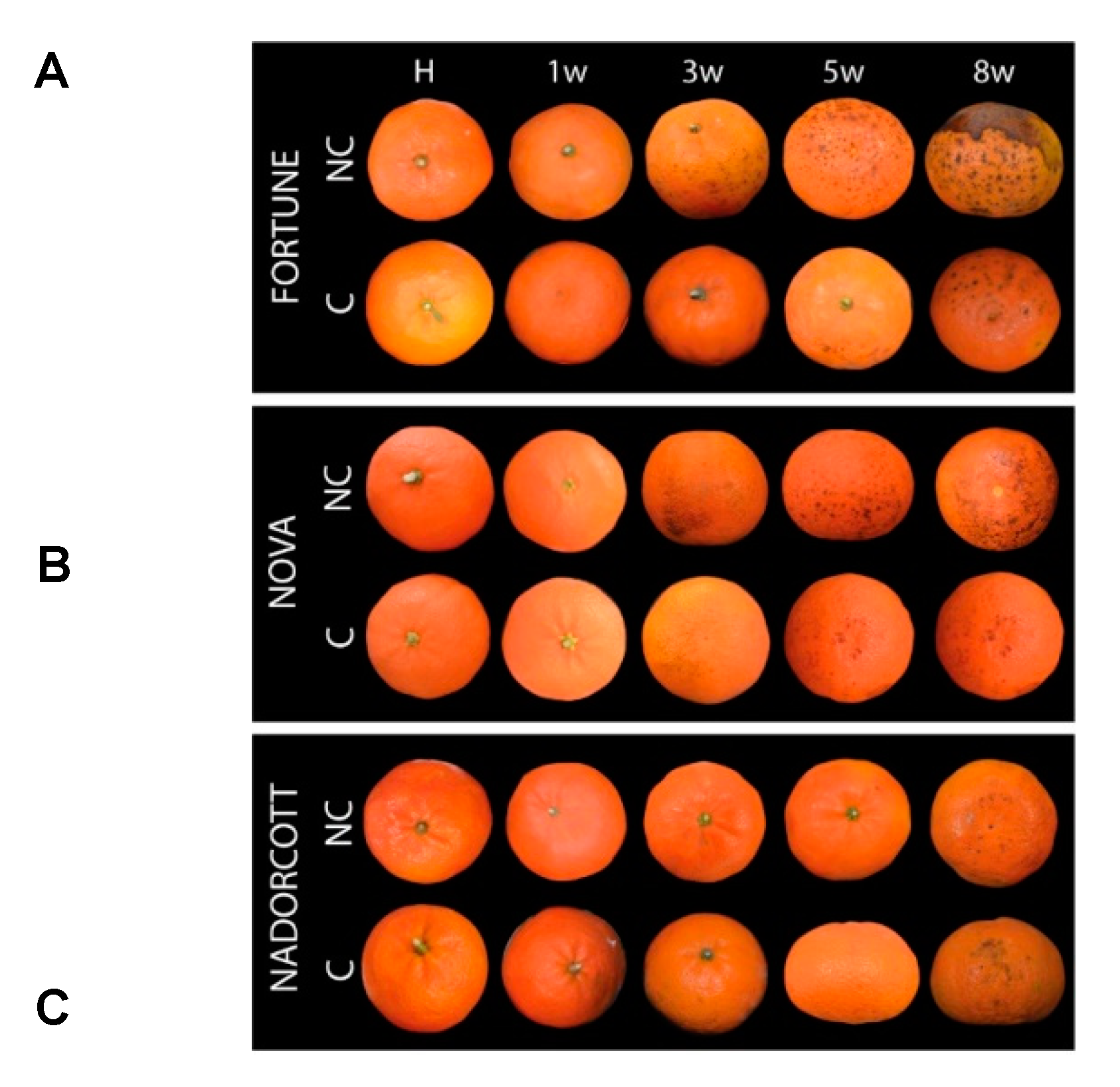Antioxidants 09 01296 g001 Antioxidants 09 01296 g001