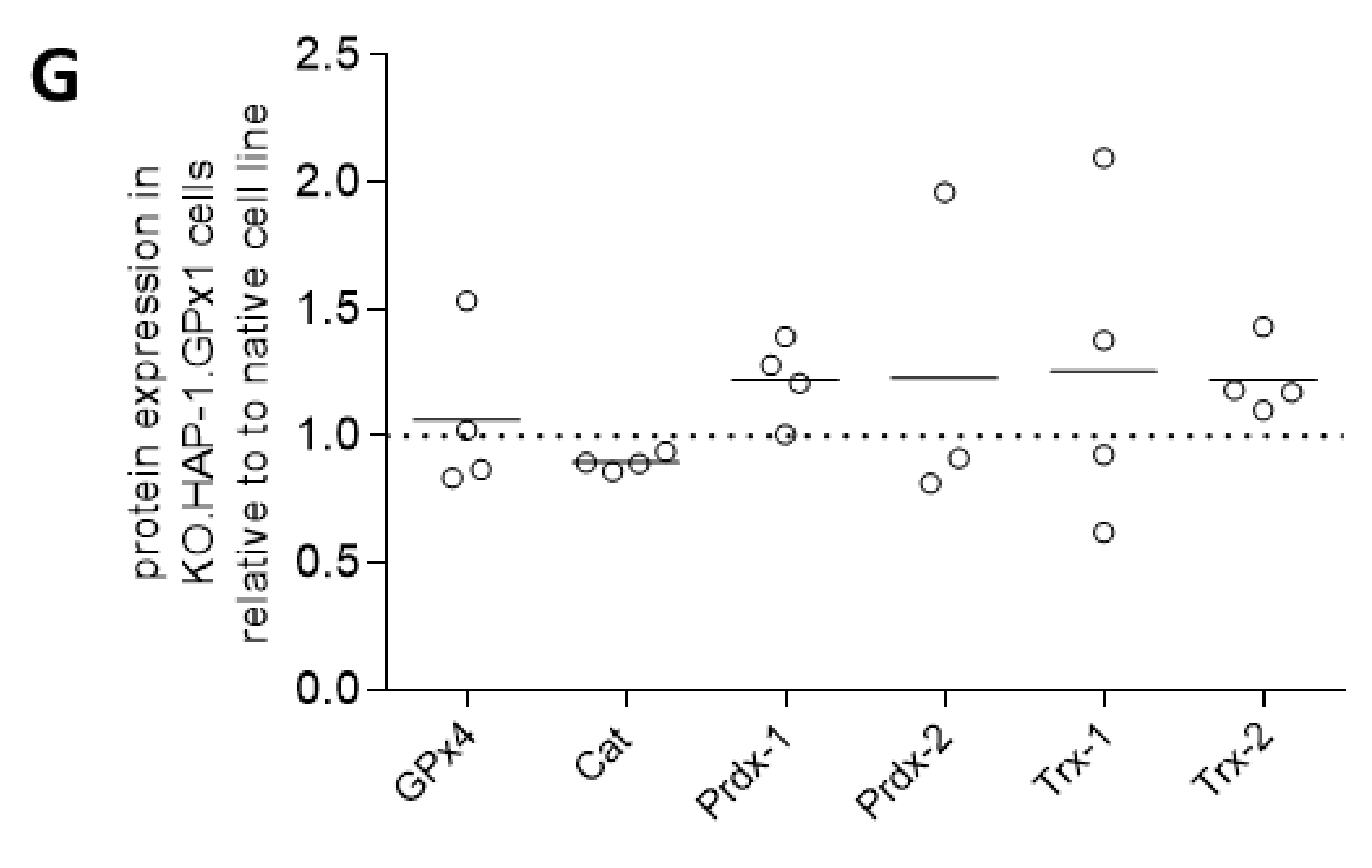 Antioxidants 09 01300 g001b Antioxidants 09 01300 g001b