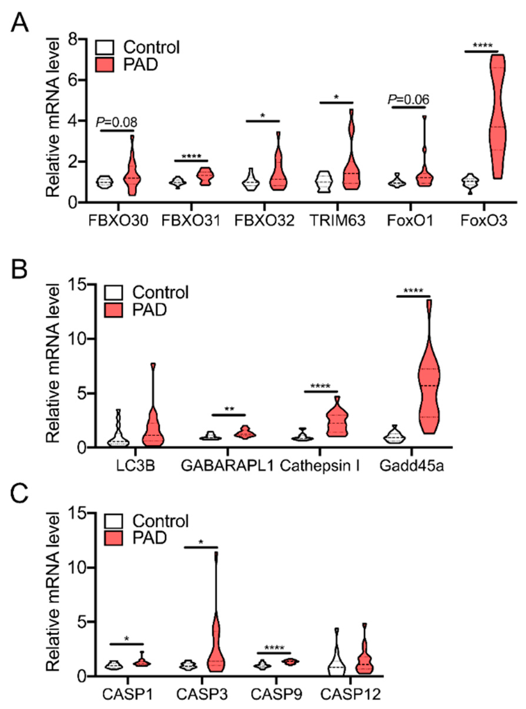 Antioxidants 09 01304 g005 Antioxidants 09 01304 g005
