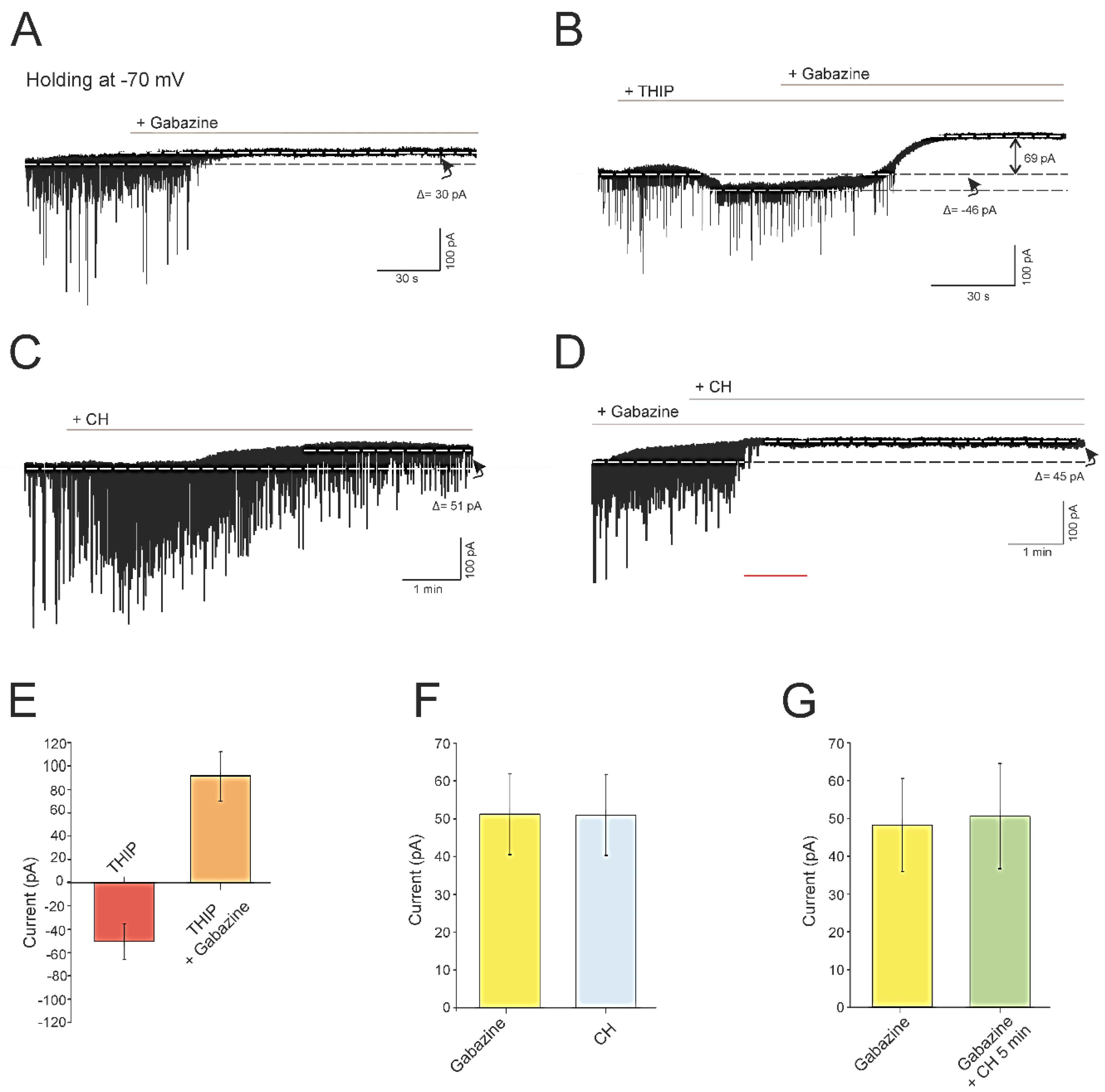 Antioxidants 09 01307 g003