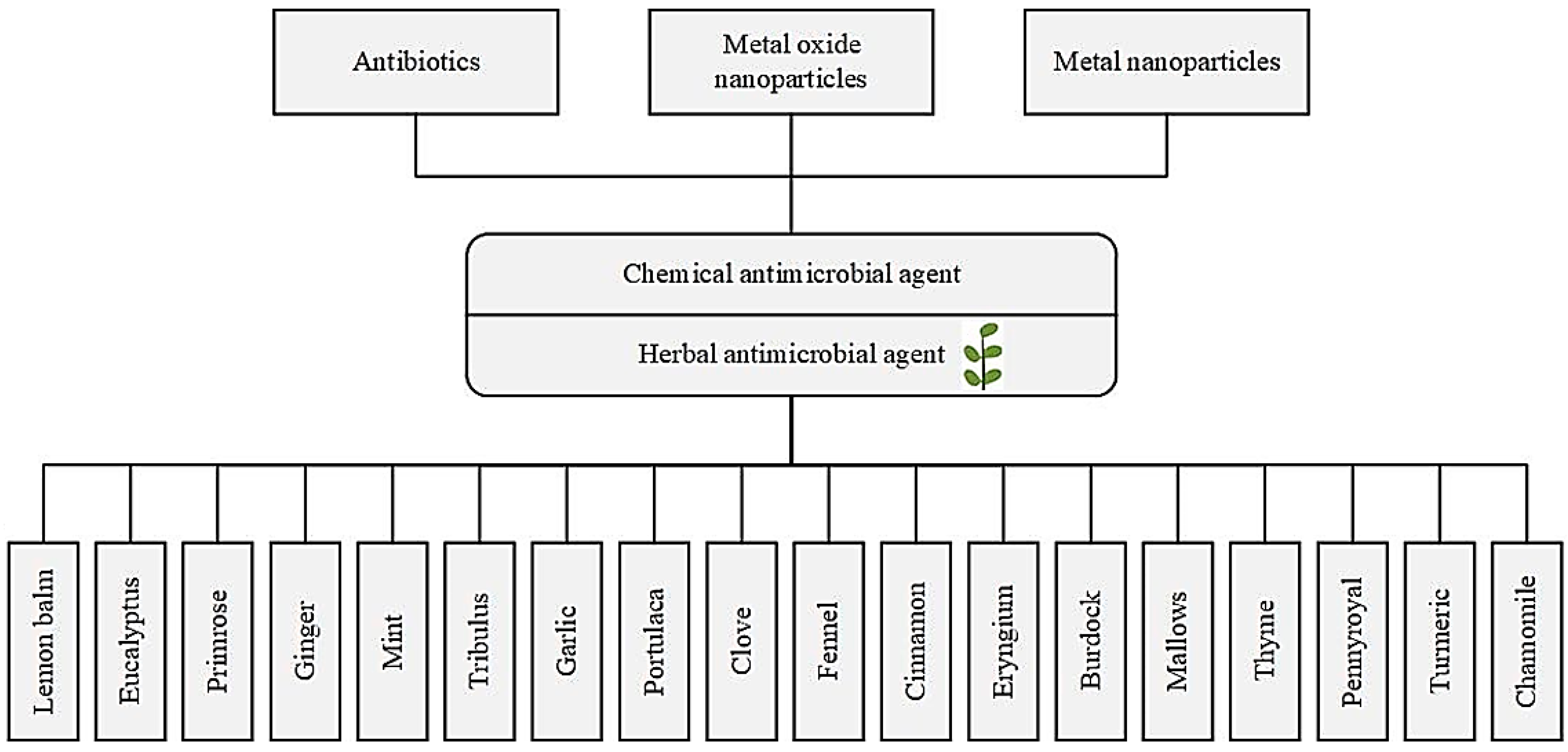Antioxidants Free Full Text Antioxidant Antimicrobial And Antiviral Properties Of Herbal Materials Html