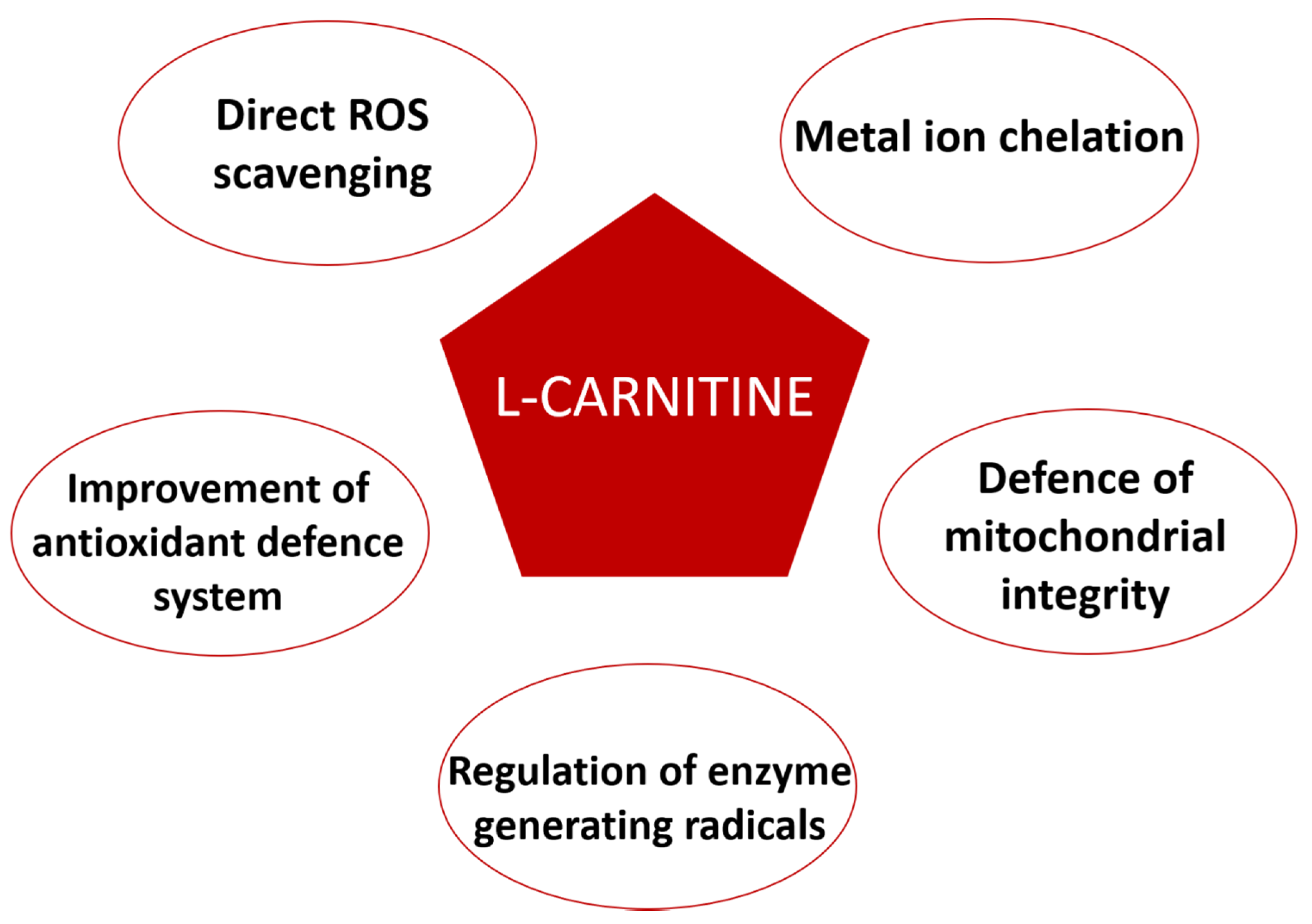 Antioxidants 09 01310 g004
