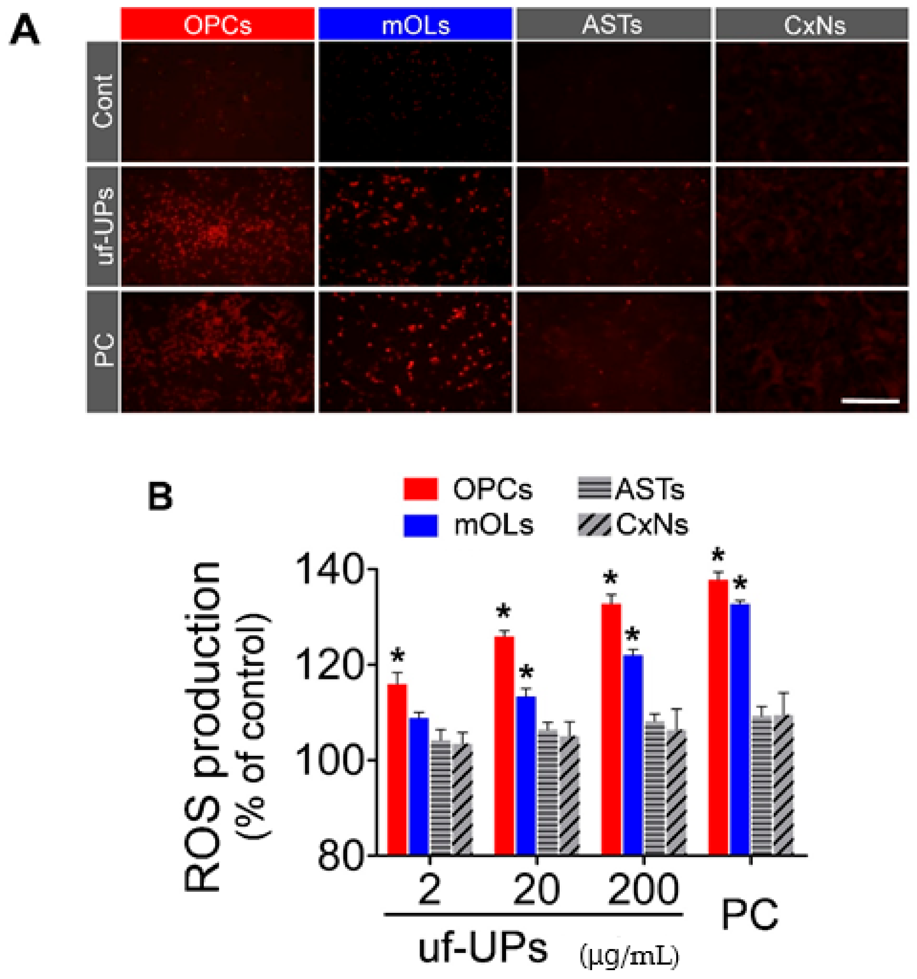 Antioxidants 10 00004 g004 Antioxidants 10 00004 g004