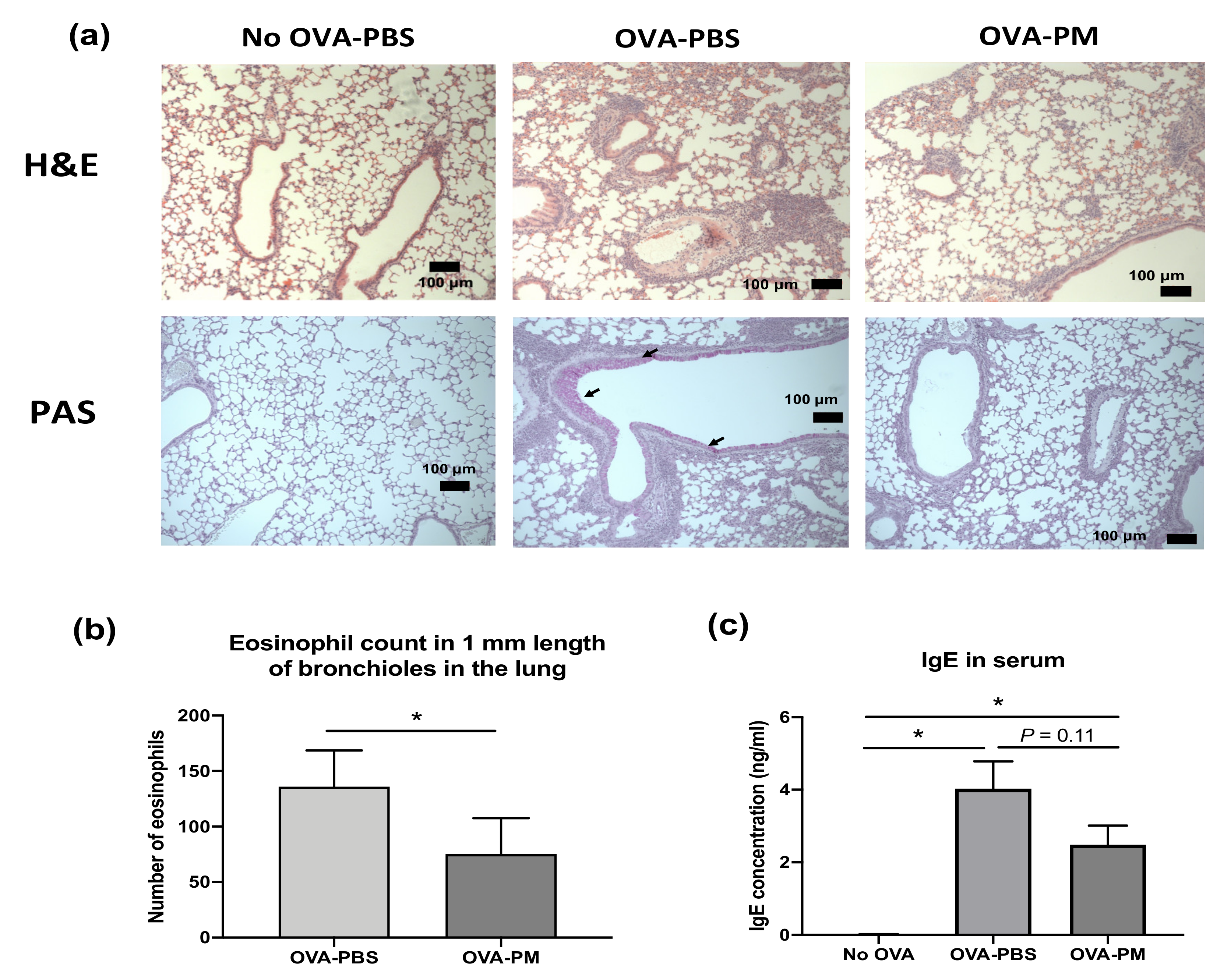 Antioxidants 10 00006 g002