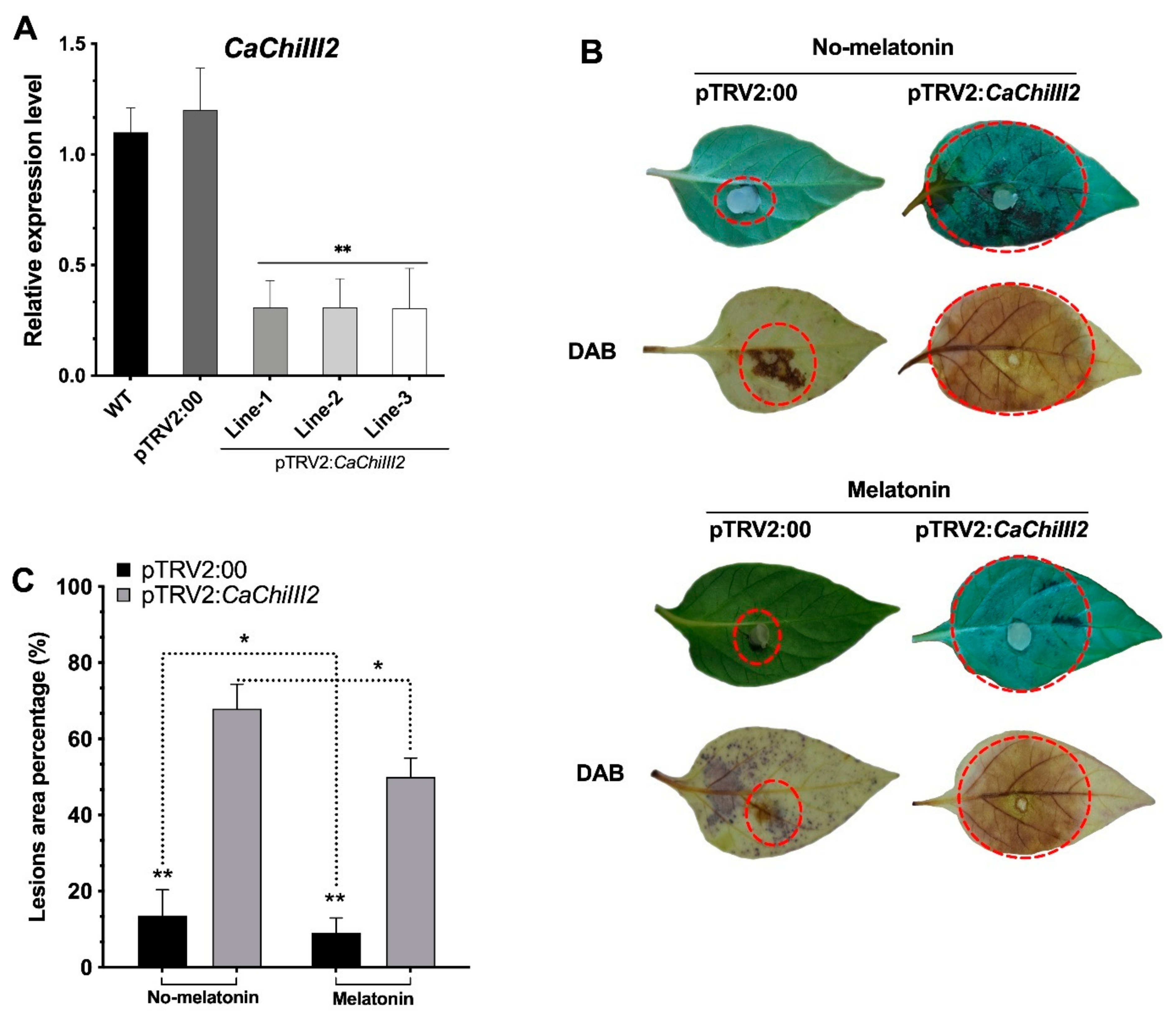 Antioxidants 10 00007 g005