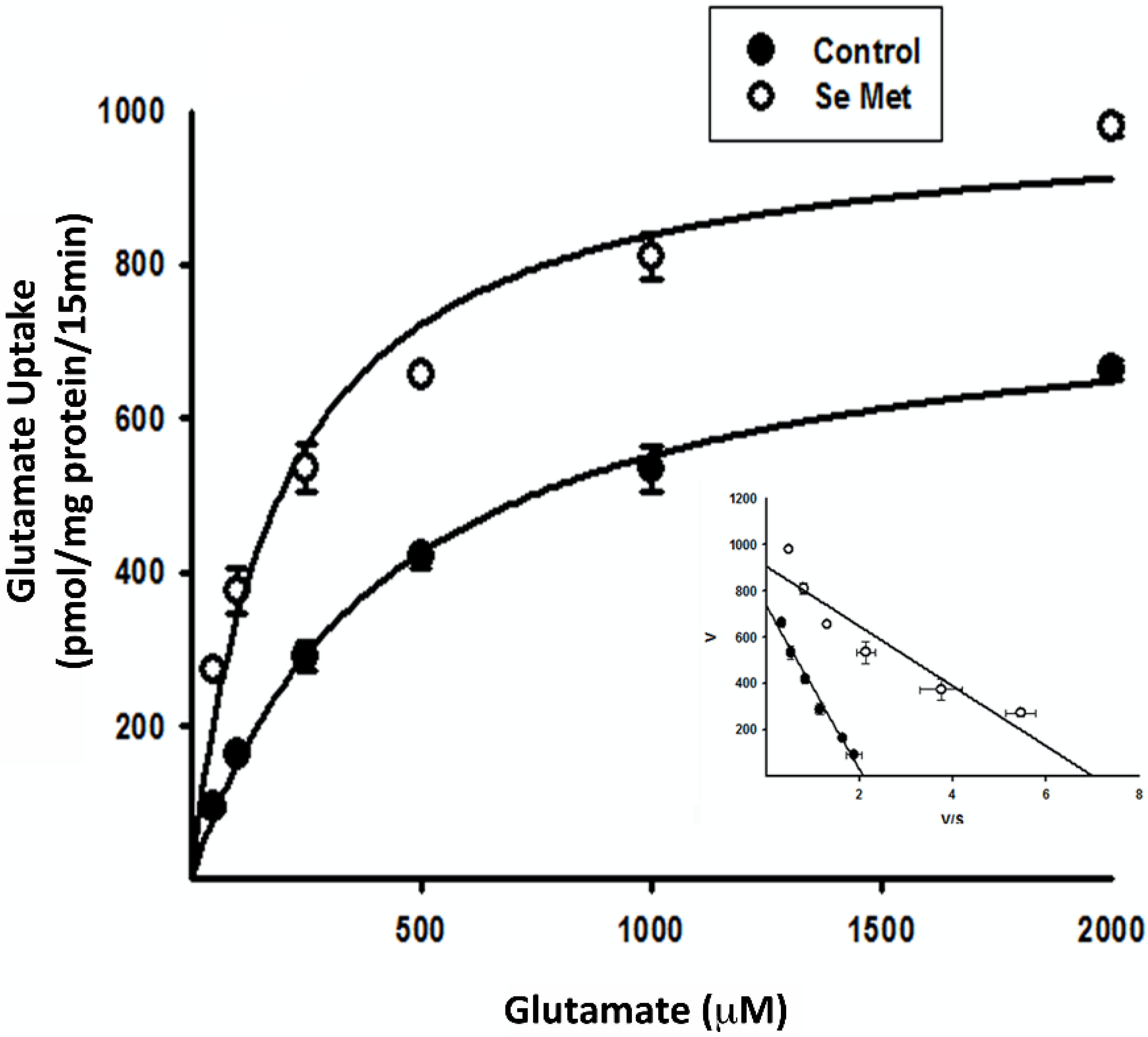 Antioxidants 10 00009 g006 Antioxidants 10 00009 g006