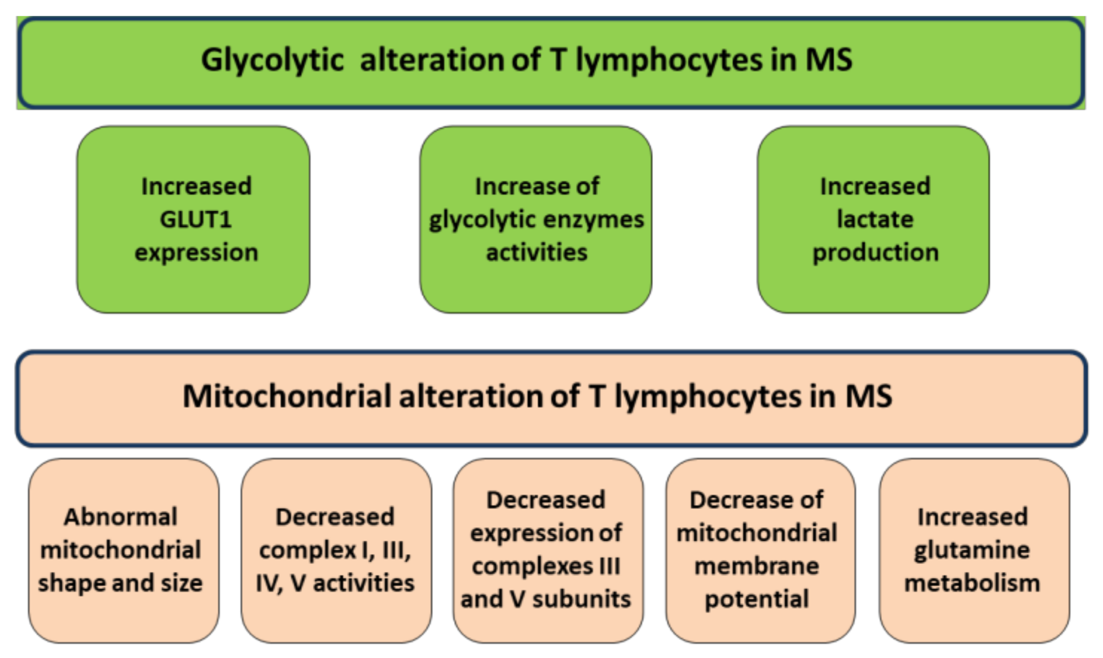 Antioxidants Free FullText Mitochondria, Oxidative Stress, cAMP Signalling and Apoptosis A