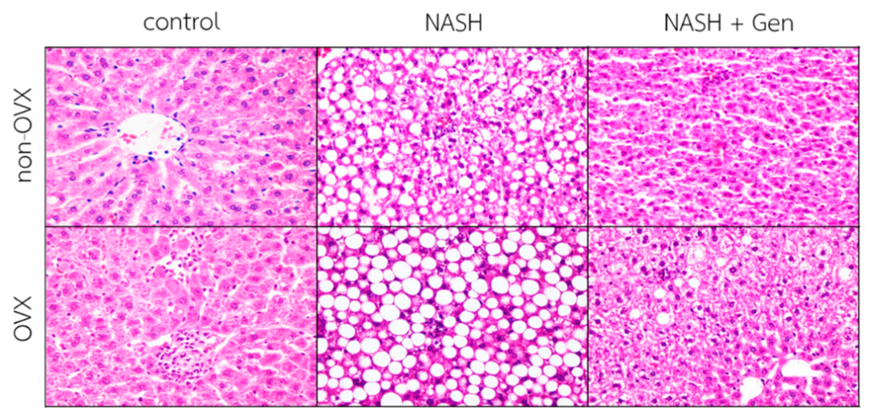 Antioxidants 10 00024 g002 Antioxidants 10 00024 g002