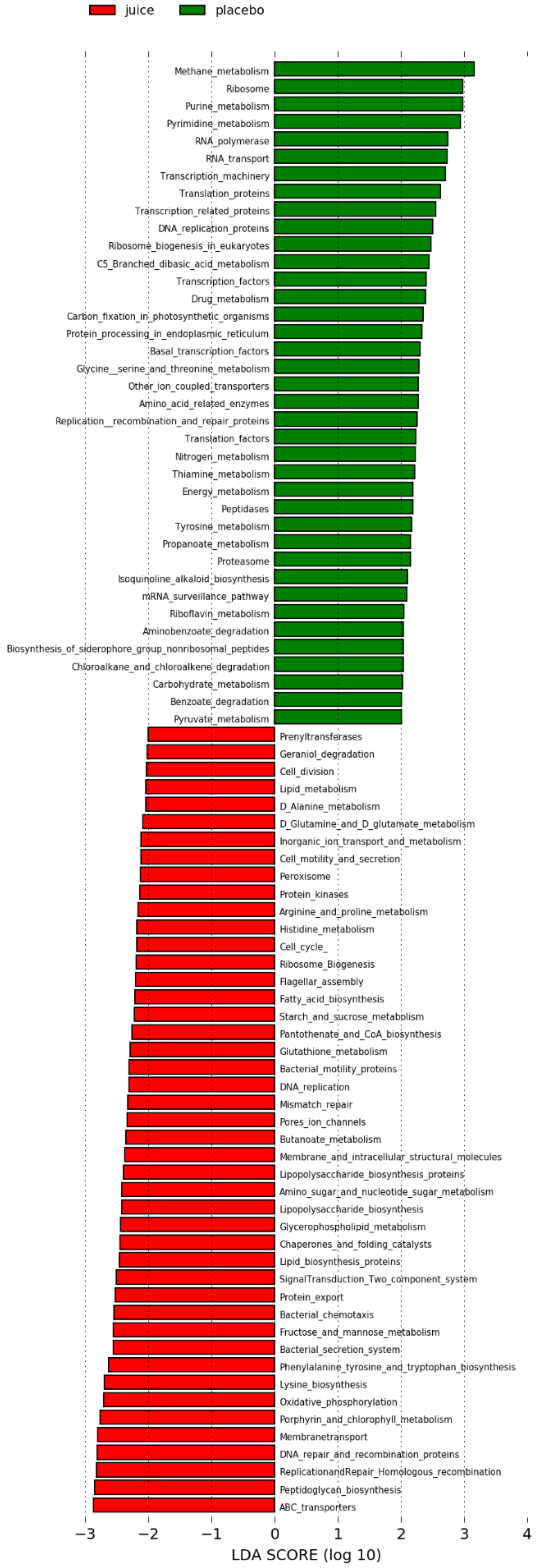 Antioxidants 10 00027 g010 Antioxidants 10 00027 g010