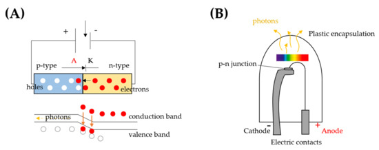 Antioxidants 10 00042 g001 550