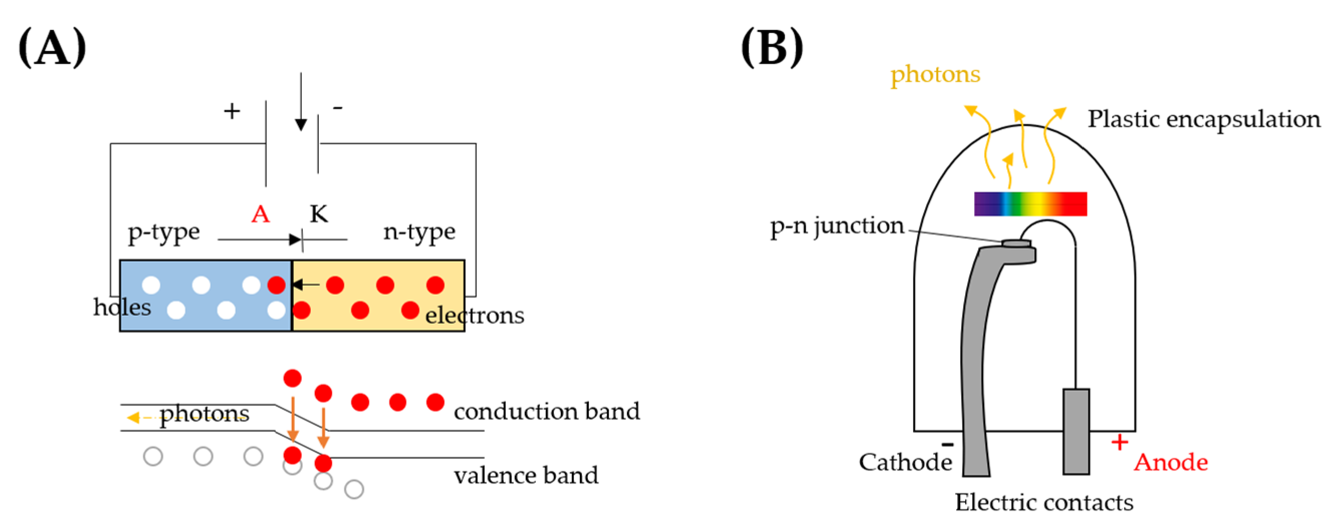 Antioxidants, Free Full-Text