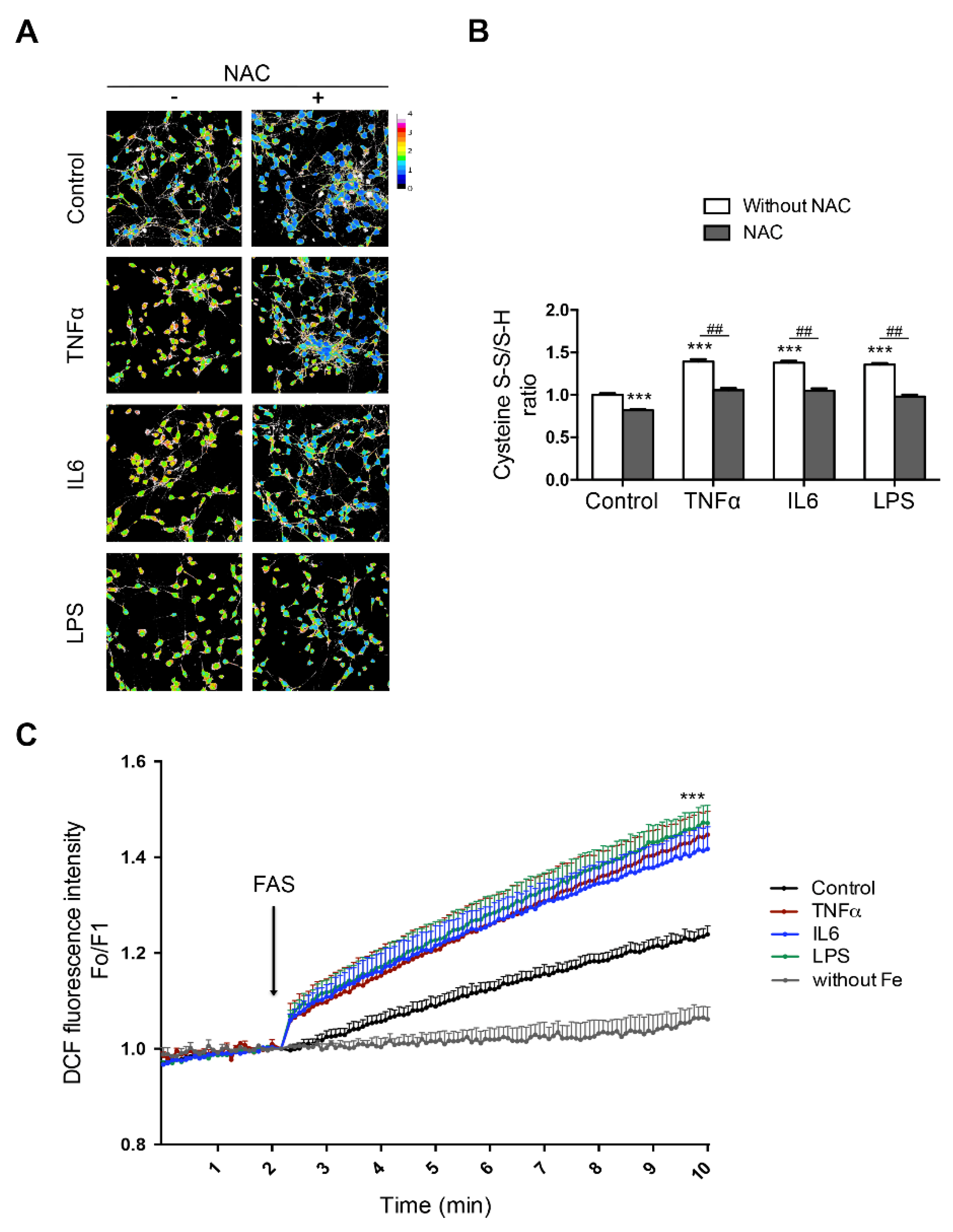 Antioxidants 10 00061 g003 Antioxidants 10 00061 g003