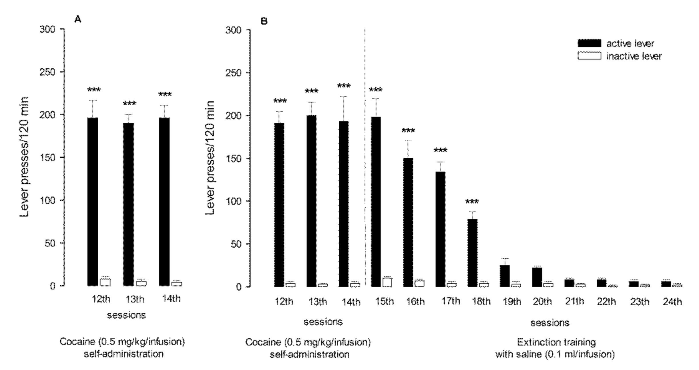 Antioxidants 10 00074 g003