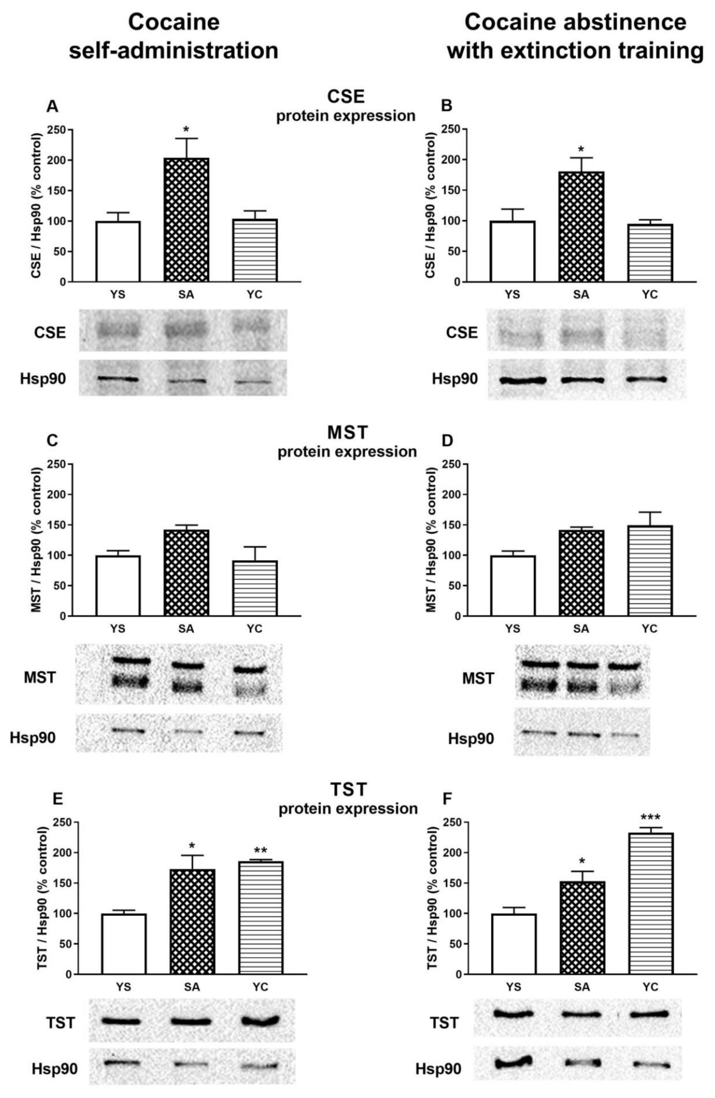 Antioxidants 10 00074 g008