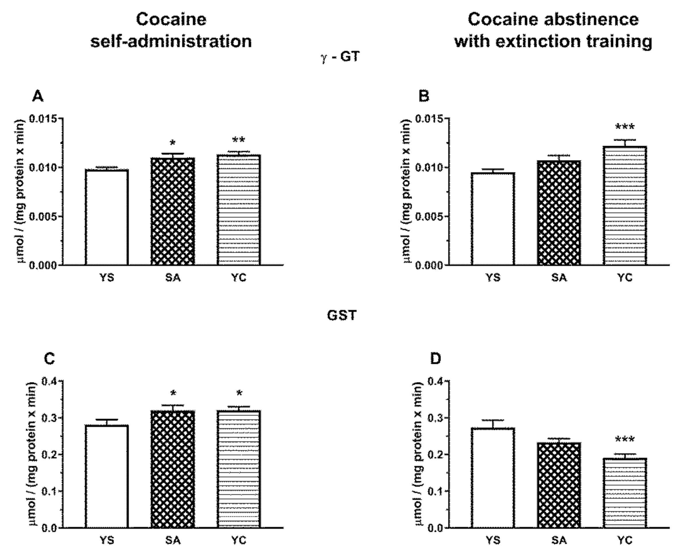 Antioxidants 10 00074 g011