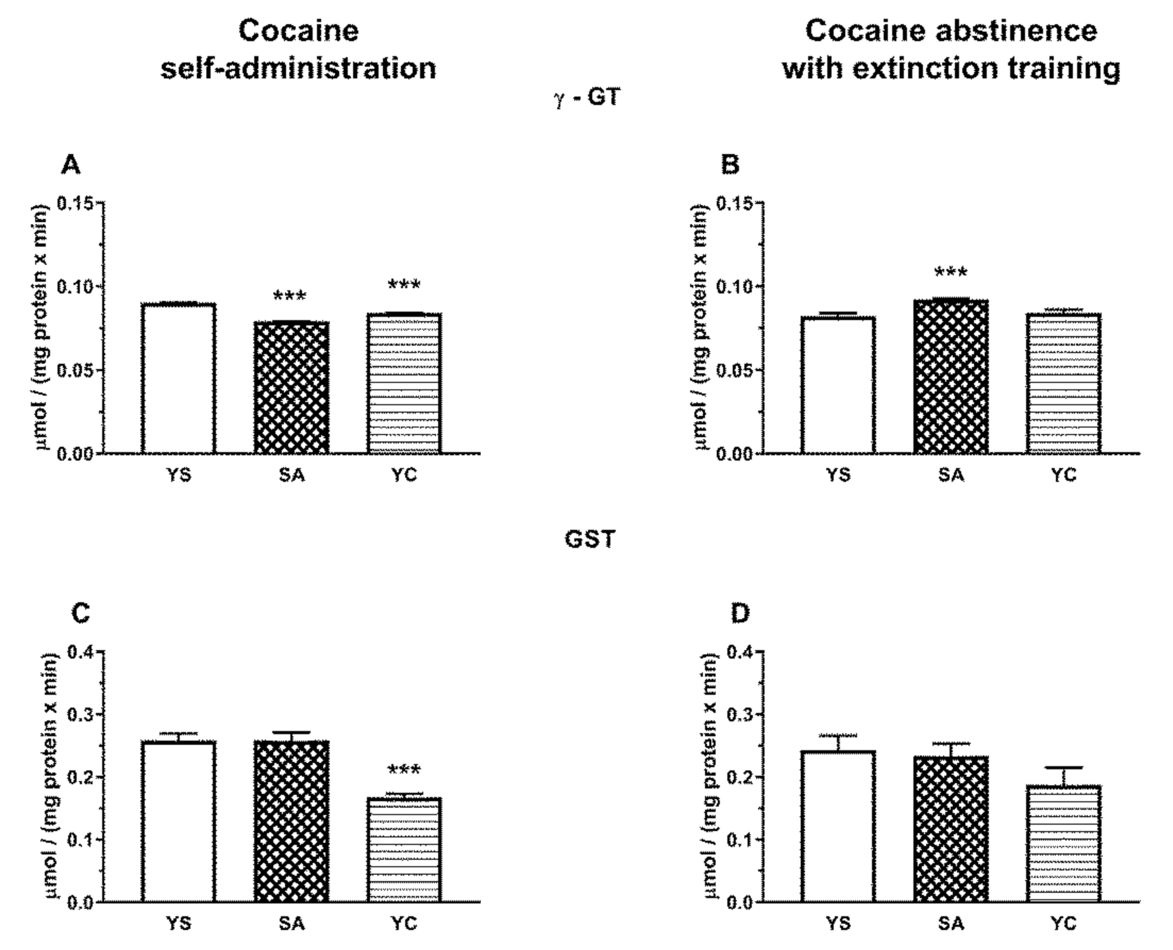 Antioxidants Free Full Text Evaluation Of Cysteine Metabolism In The Rat Liver And Kidney Following Intravenous Cocaine Administration And Abstinence Html