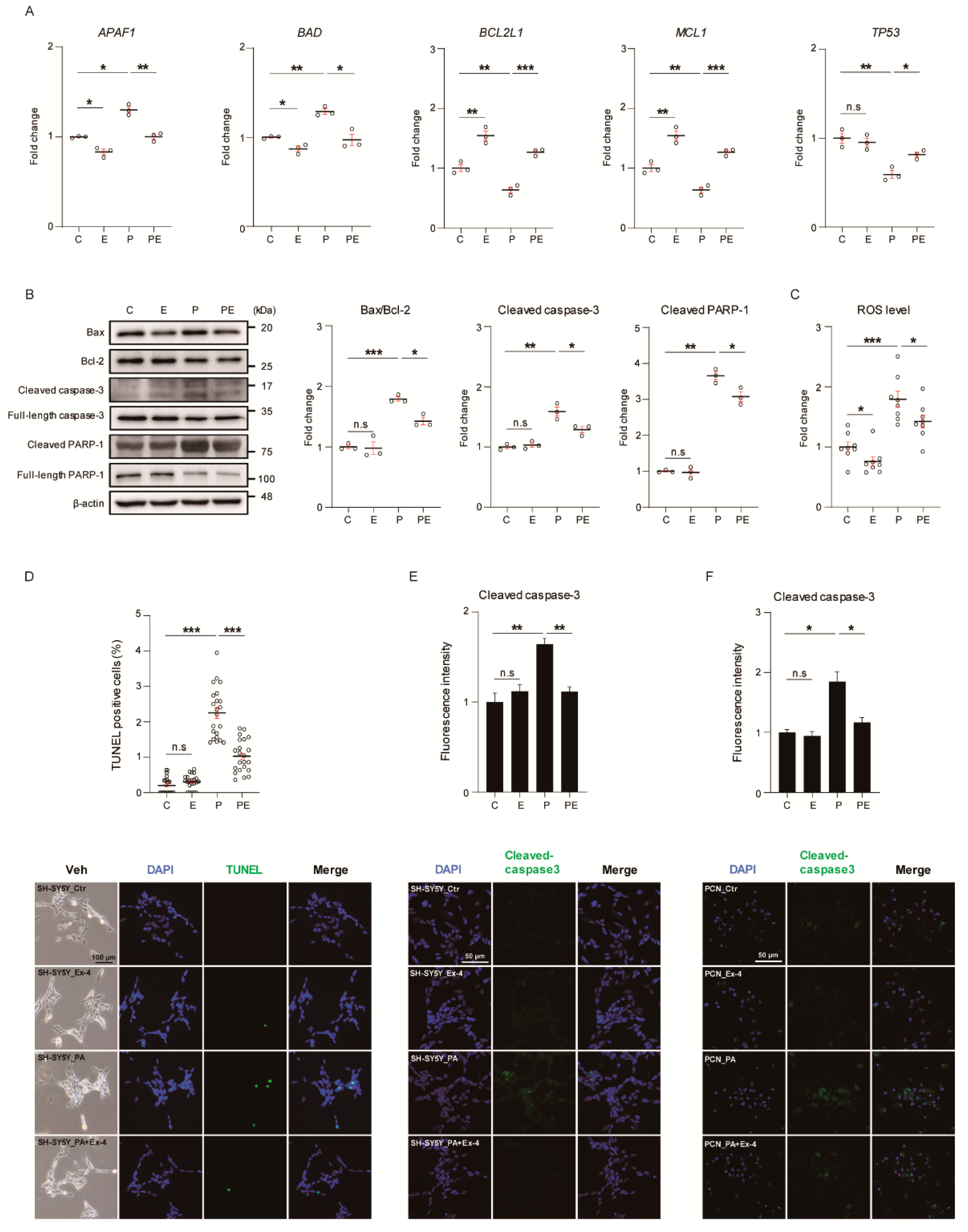 Antioxidants 10 00078 g001 Antioxidants 10 00078 g001