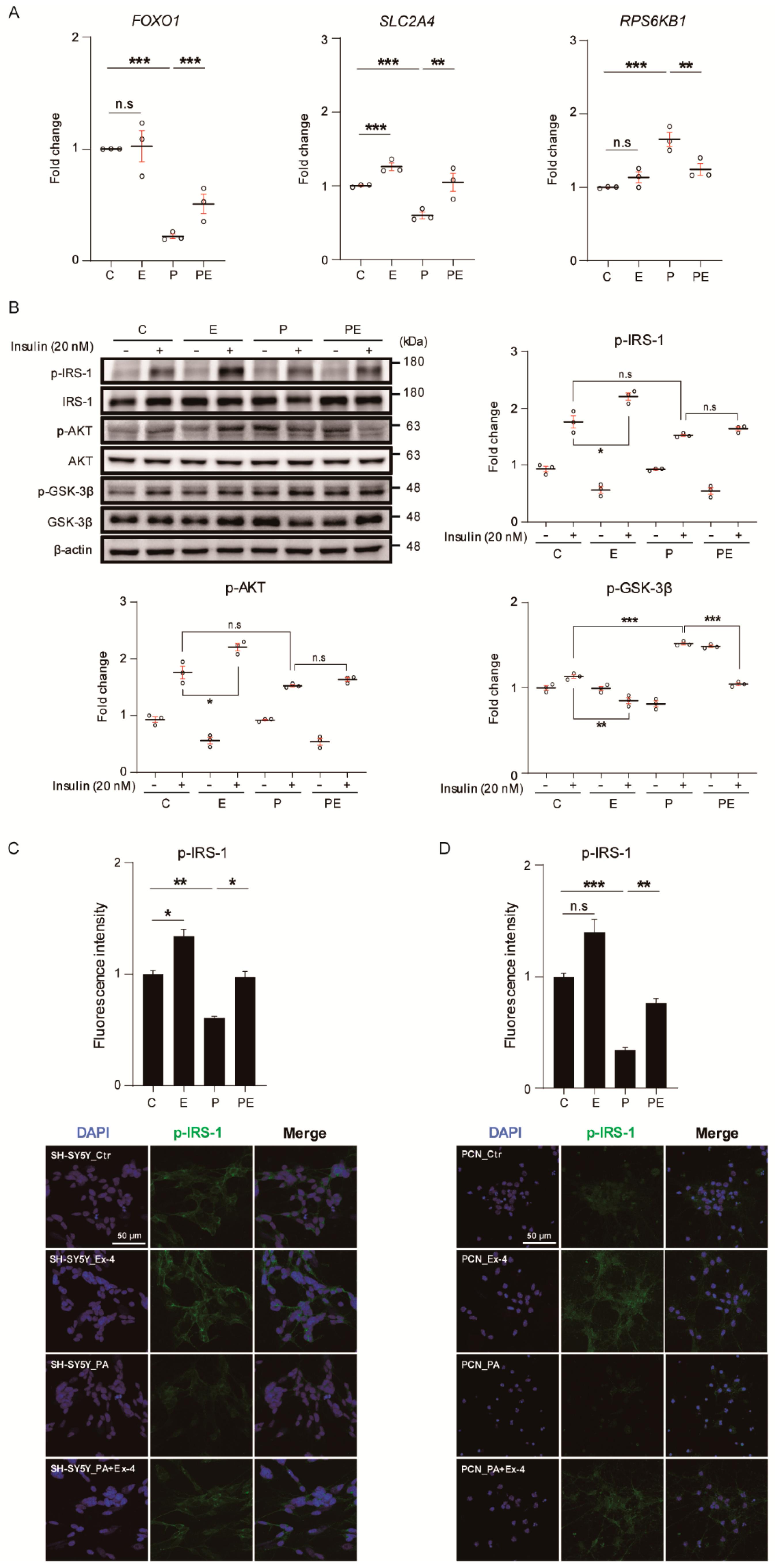 Antioxidants 10 00078 g002 Antioxidants 10 00078 g002