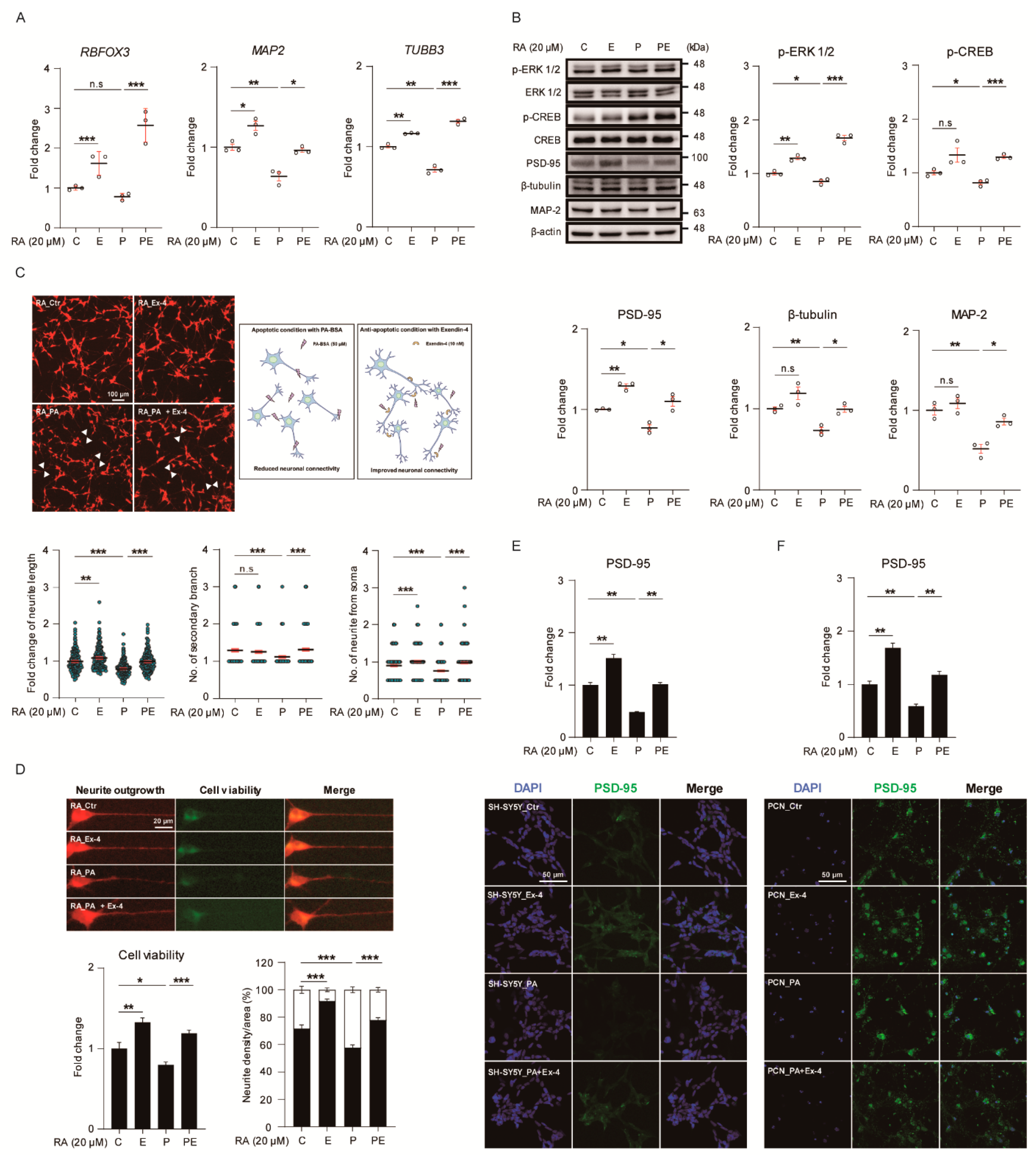 Antioxidants 10 00078 g004 Antioxidants 10 00078 g004