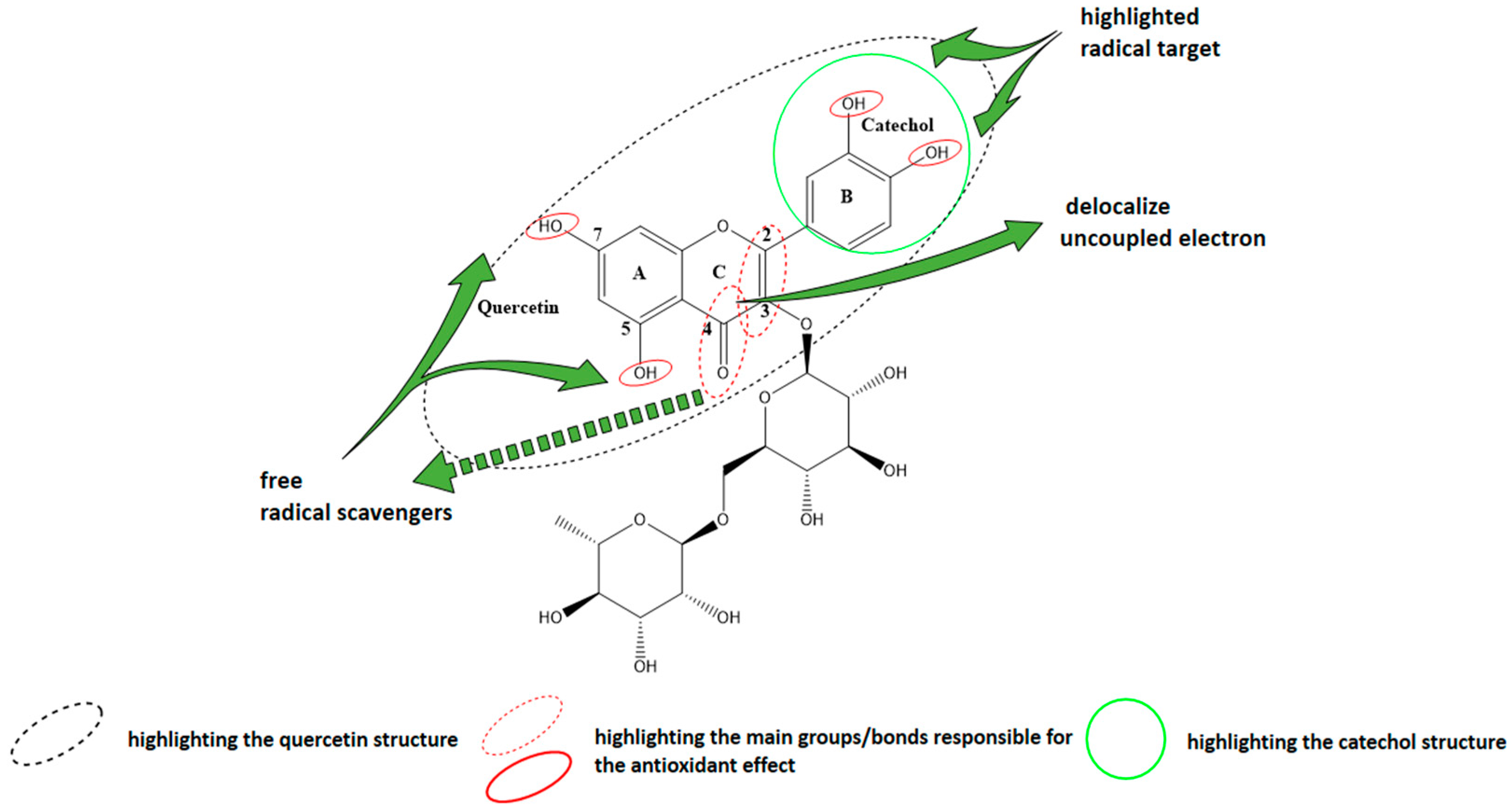 Antioxidants 10 00085 g001 Antioxidants 10 00085 g001