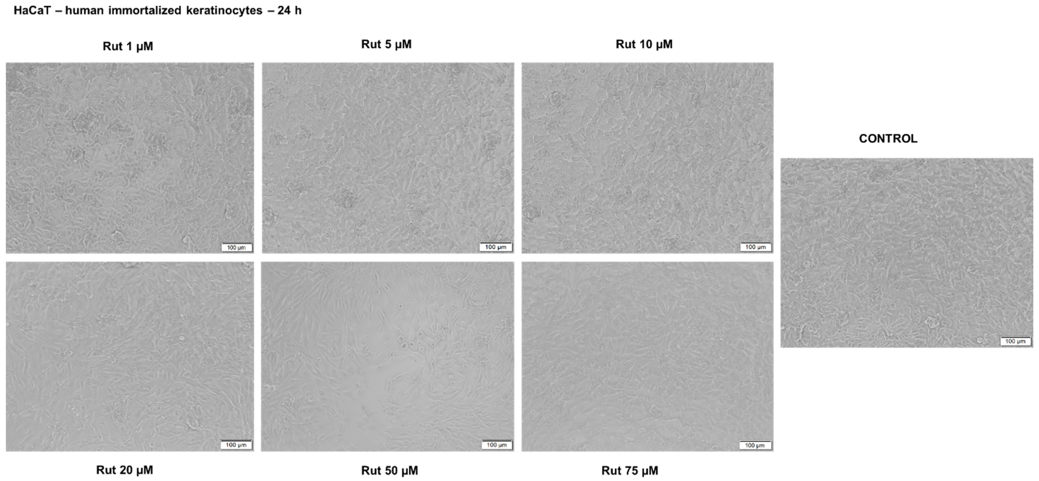 Antioxidants 10 00085 g009 Antioxidants 10 00085 g009