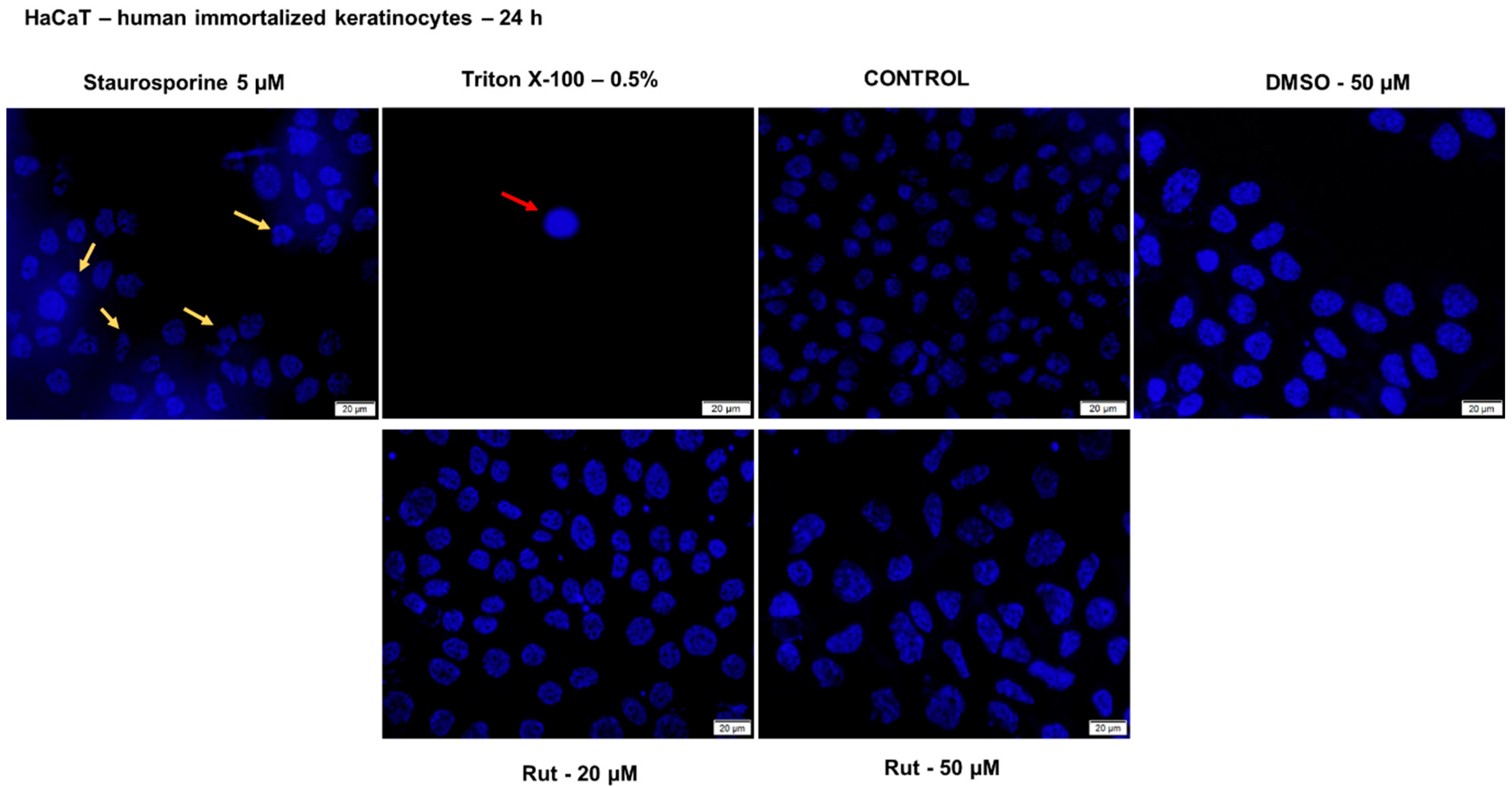 Antioxidants 10 00085 g010 Antioxidants 10 00085 g010