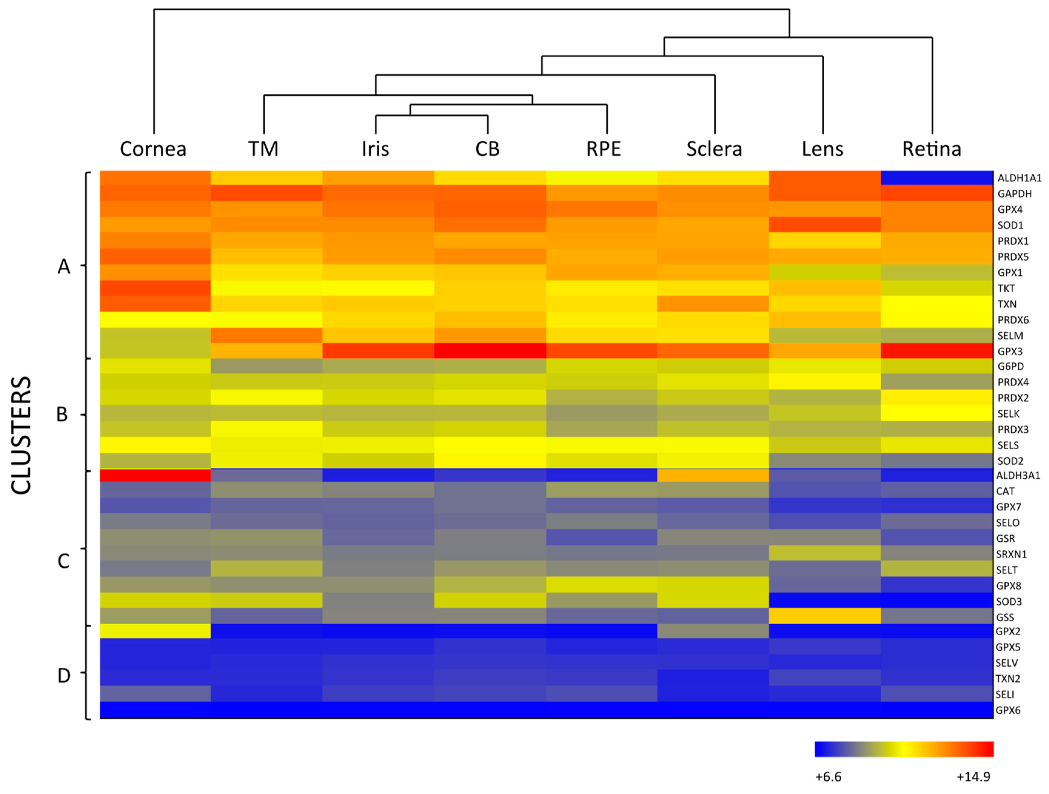 Antioxidants 10 00089 g002