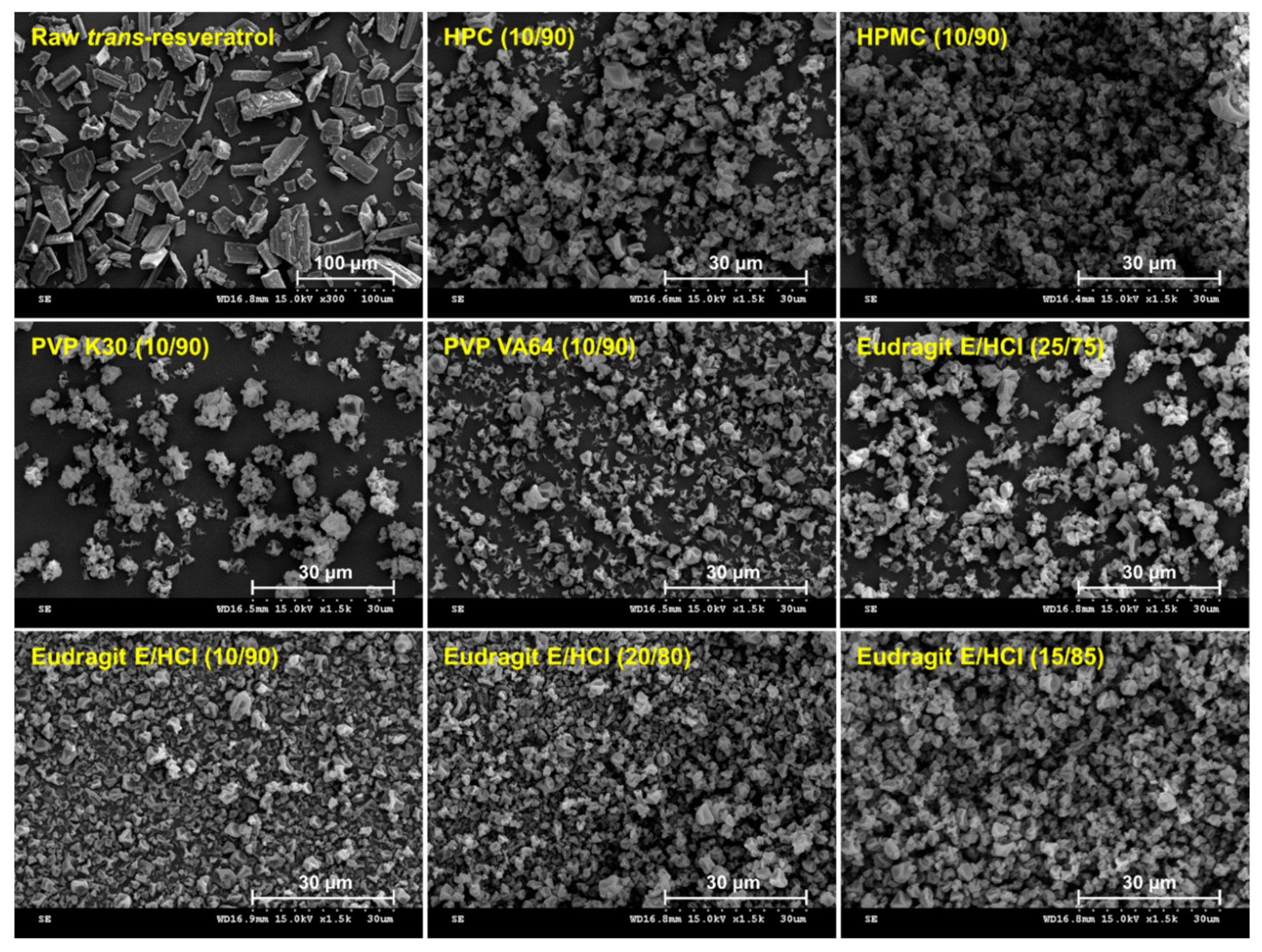 Antioxidants 10 00090 g001 Antioxidants 10 00090 g001