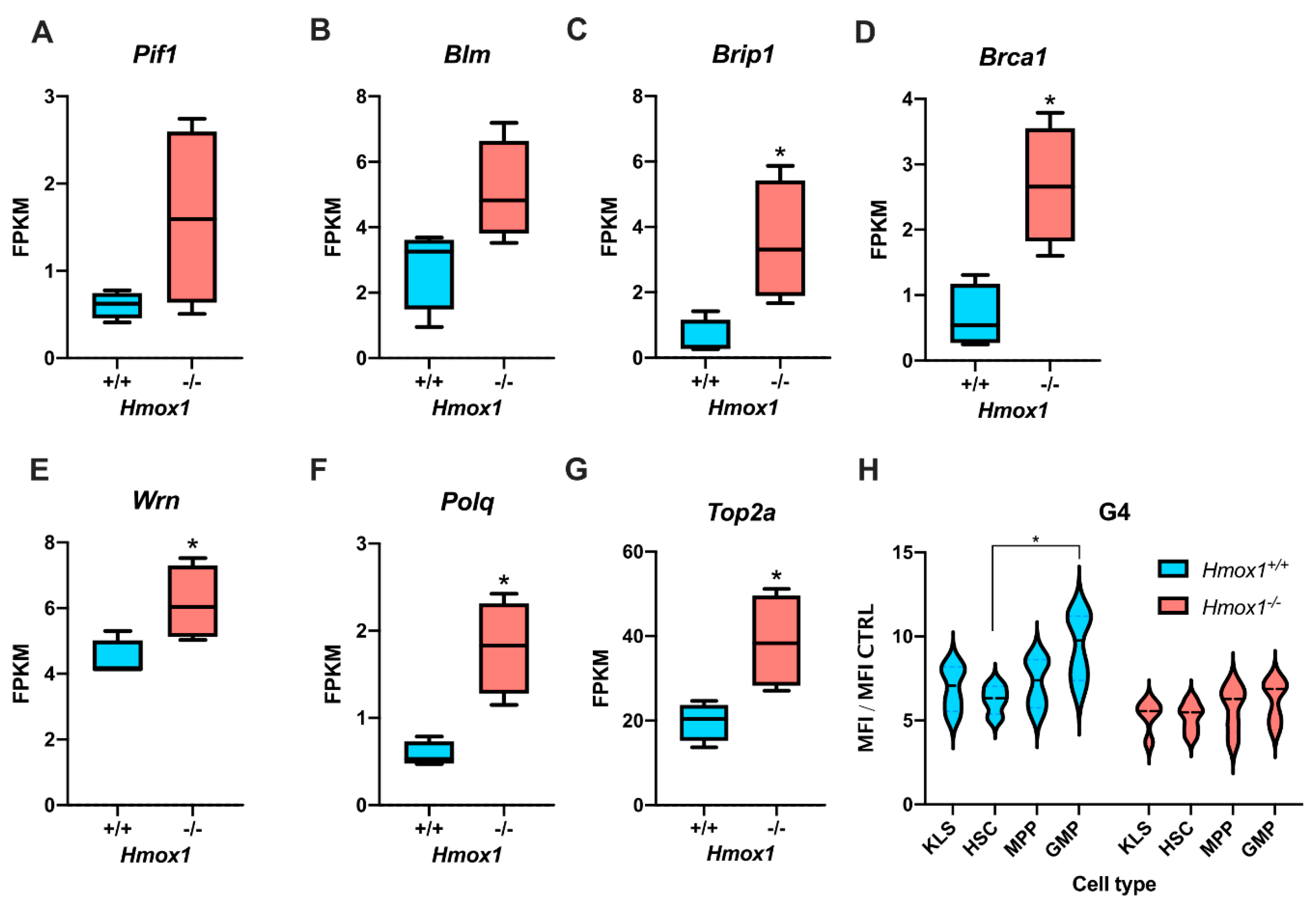 Antioxidants 10 00094 g001