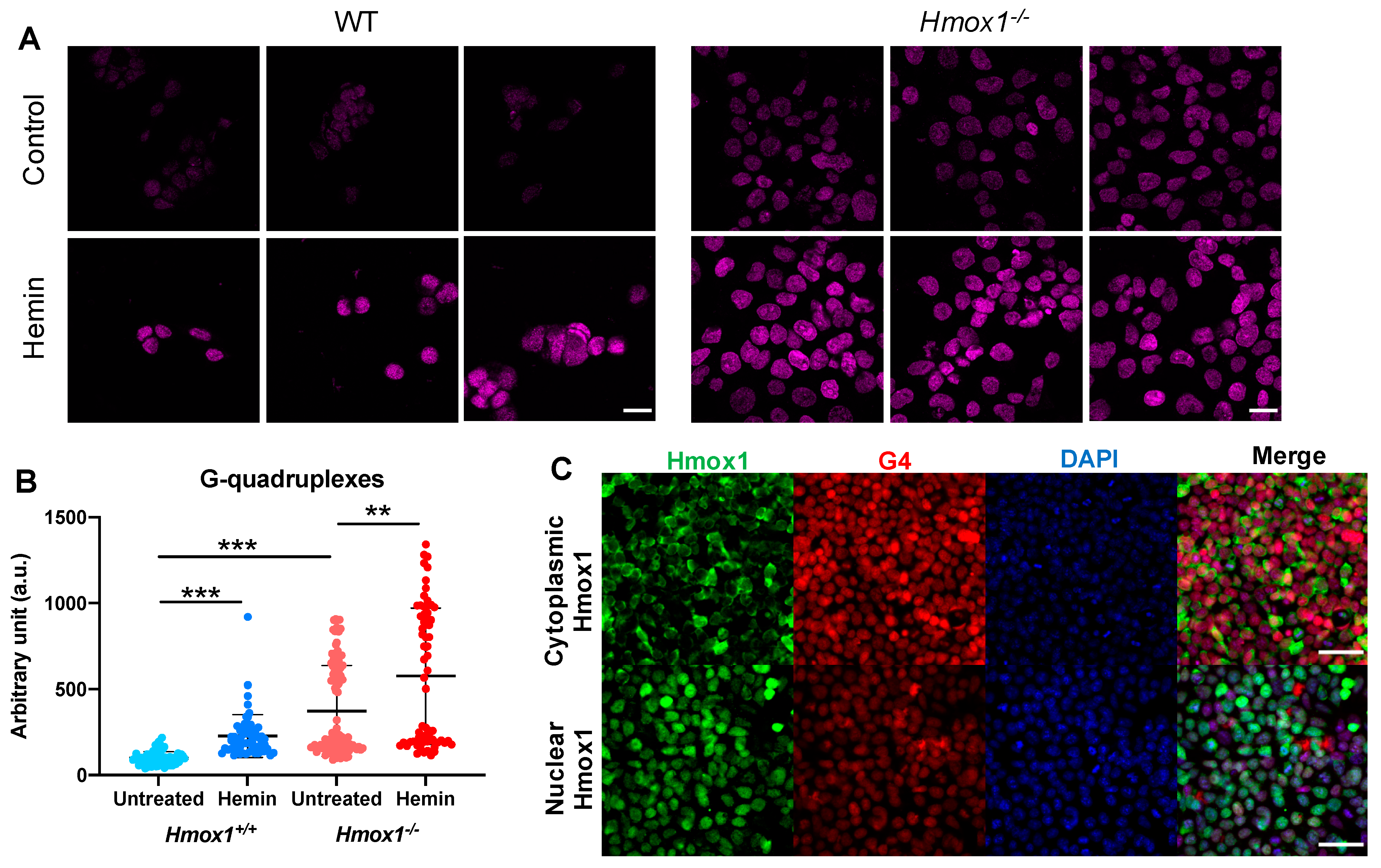 Antioxidants 10 00094 g003