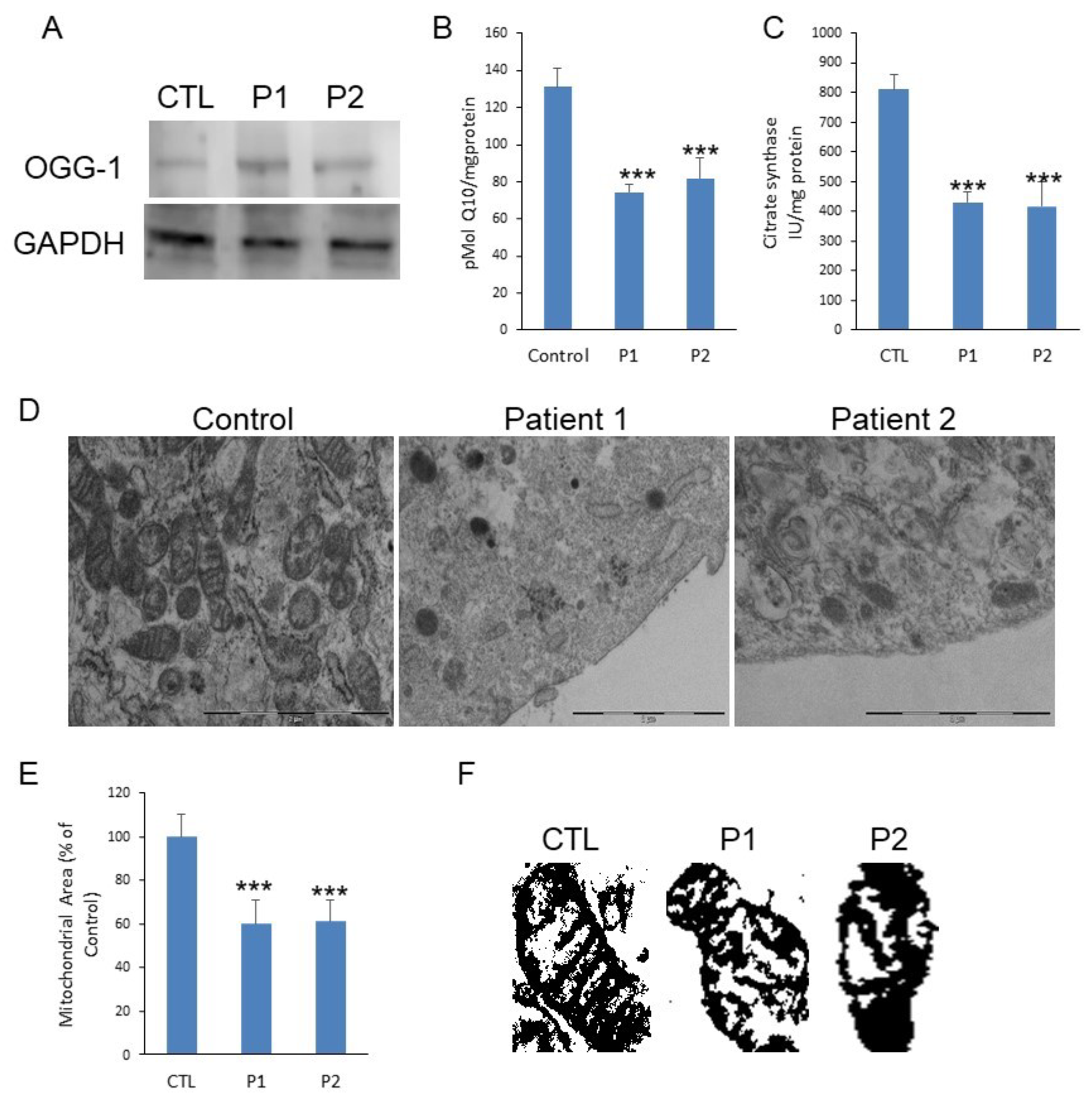Antioxidants 10 00095 g001 Antioxidants 10 00095 g001