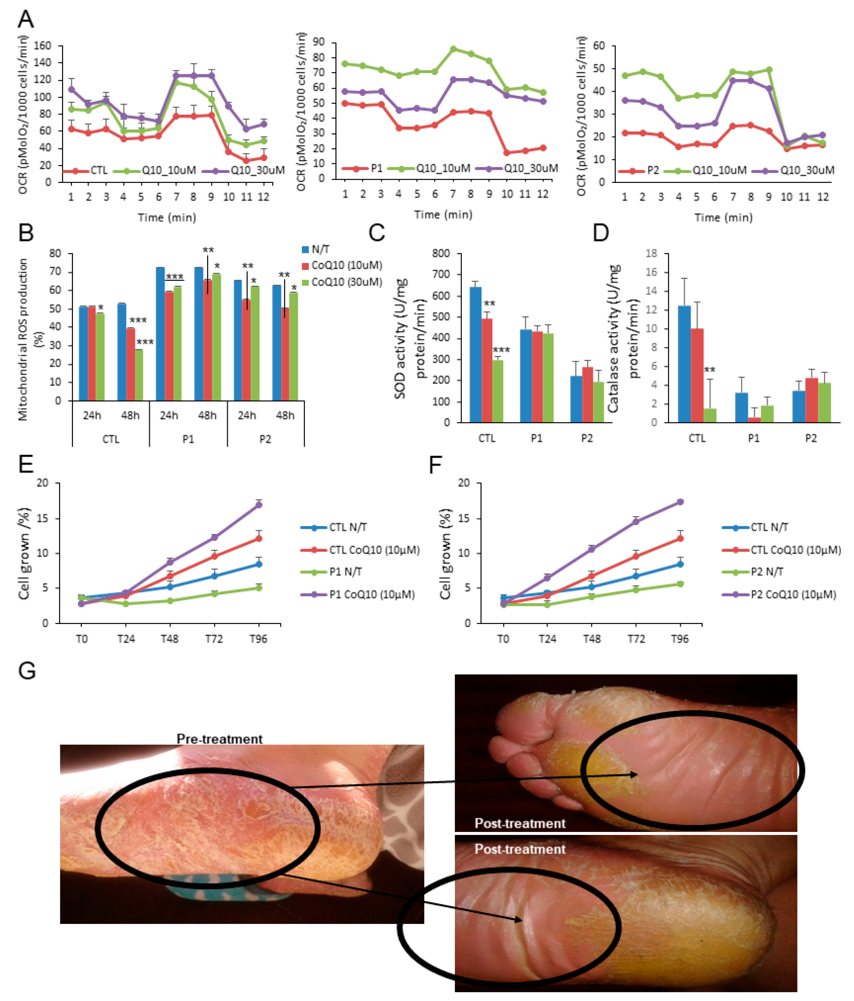 Antioxidants 10 00095 g002 Antioxidants 10 00095 g002