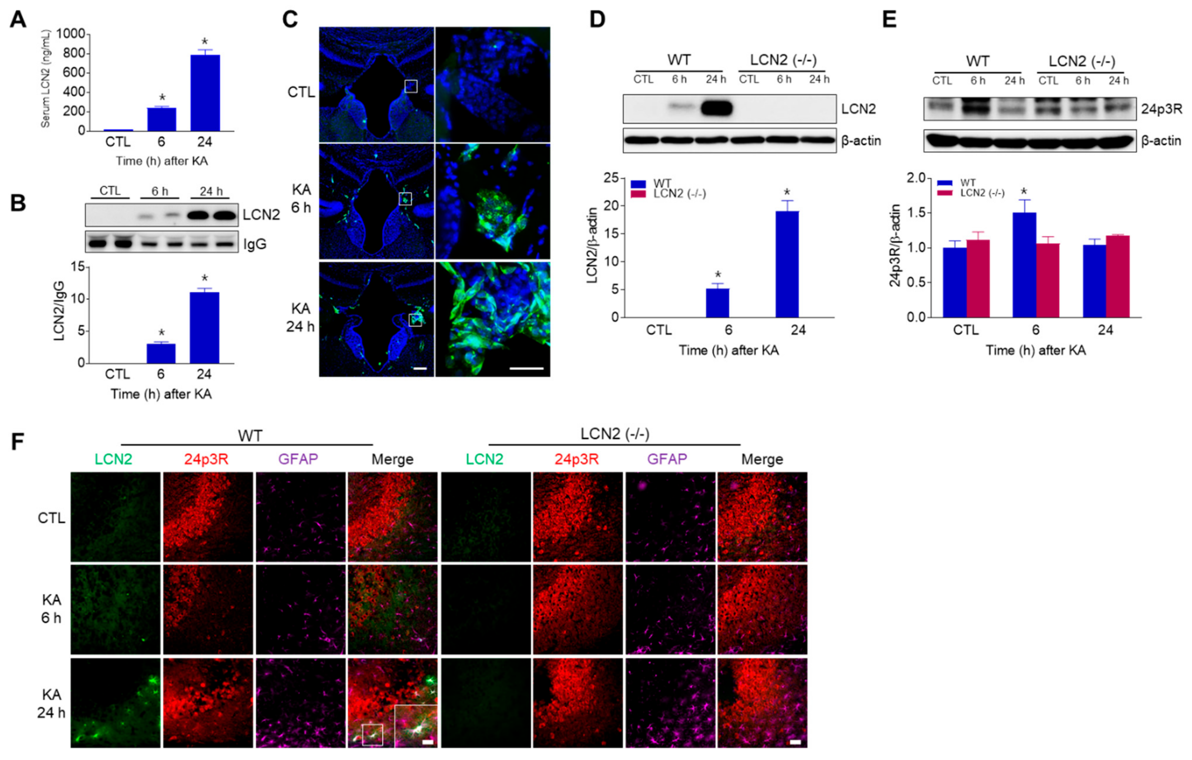 Antioxidants 10 00100 g004 Antioxidants 10 00100 g004