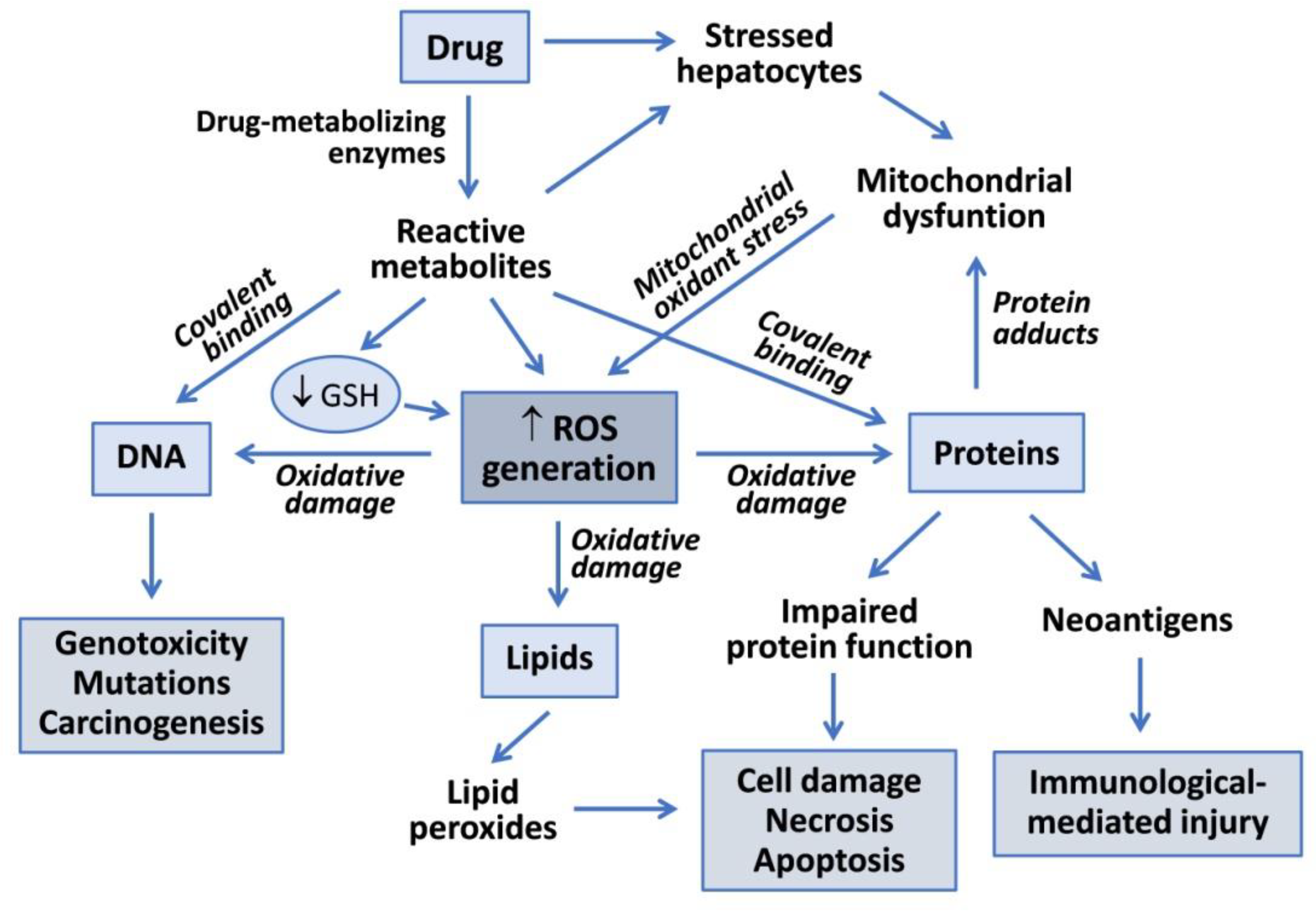 Antioxidants 10 00106 g001