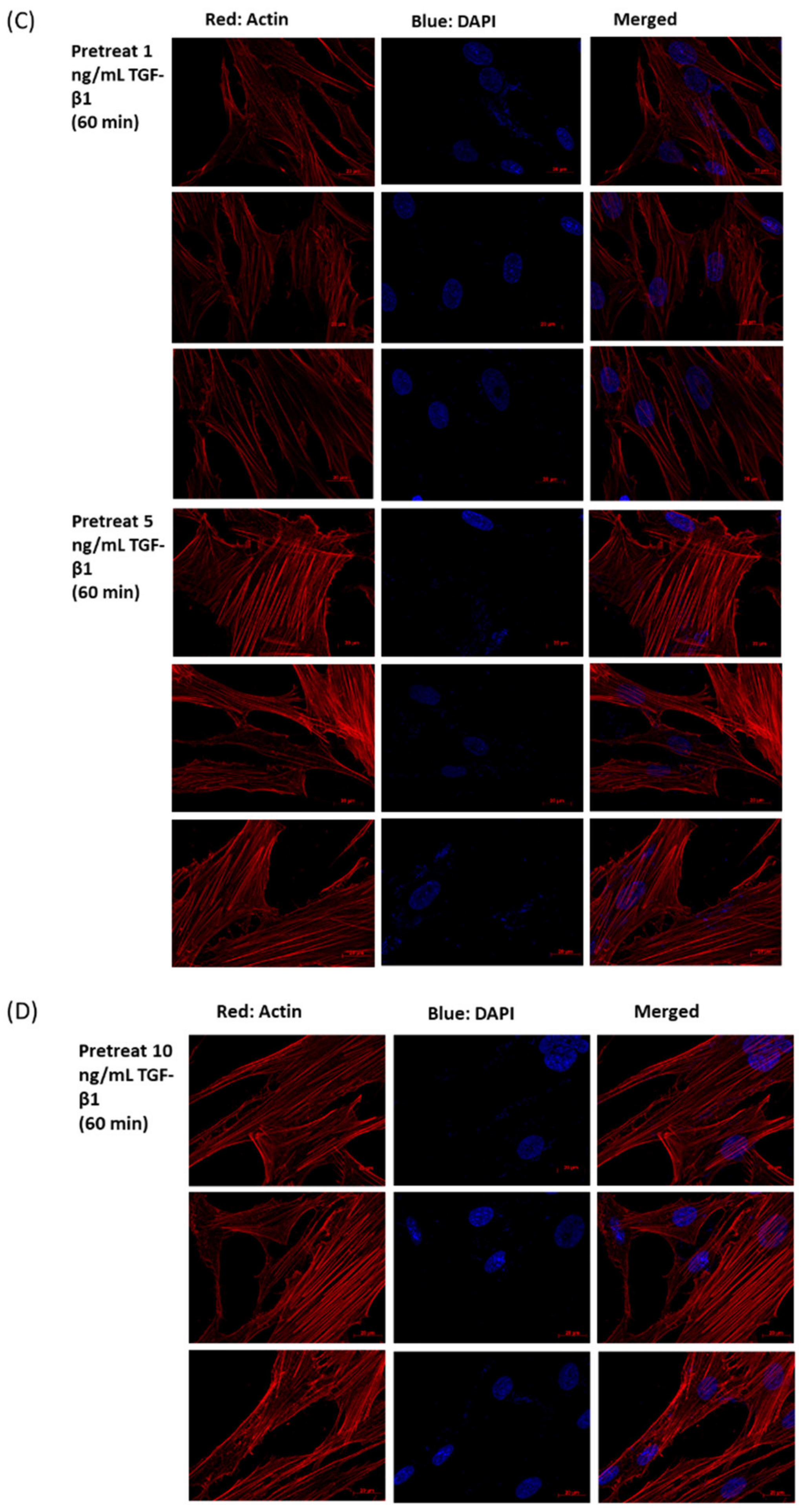 Antioxidants 10 00107 g003b Antioxidants 10 00107 g003b