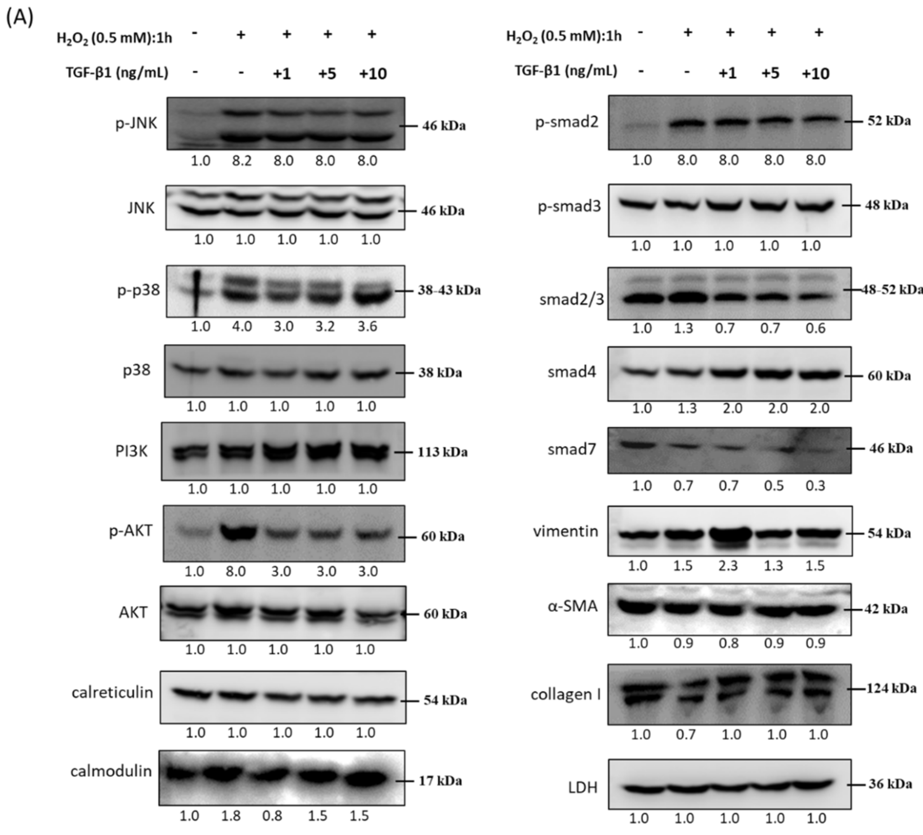 Antioxidants 10 00107 g005a Antioxidants 10 00107 g005a