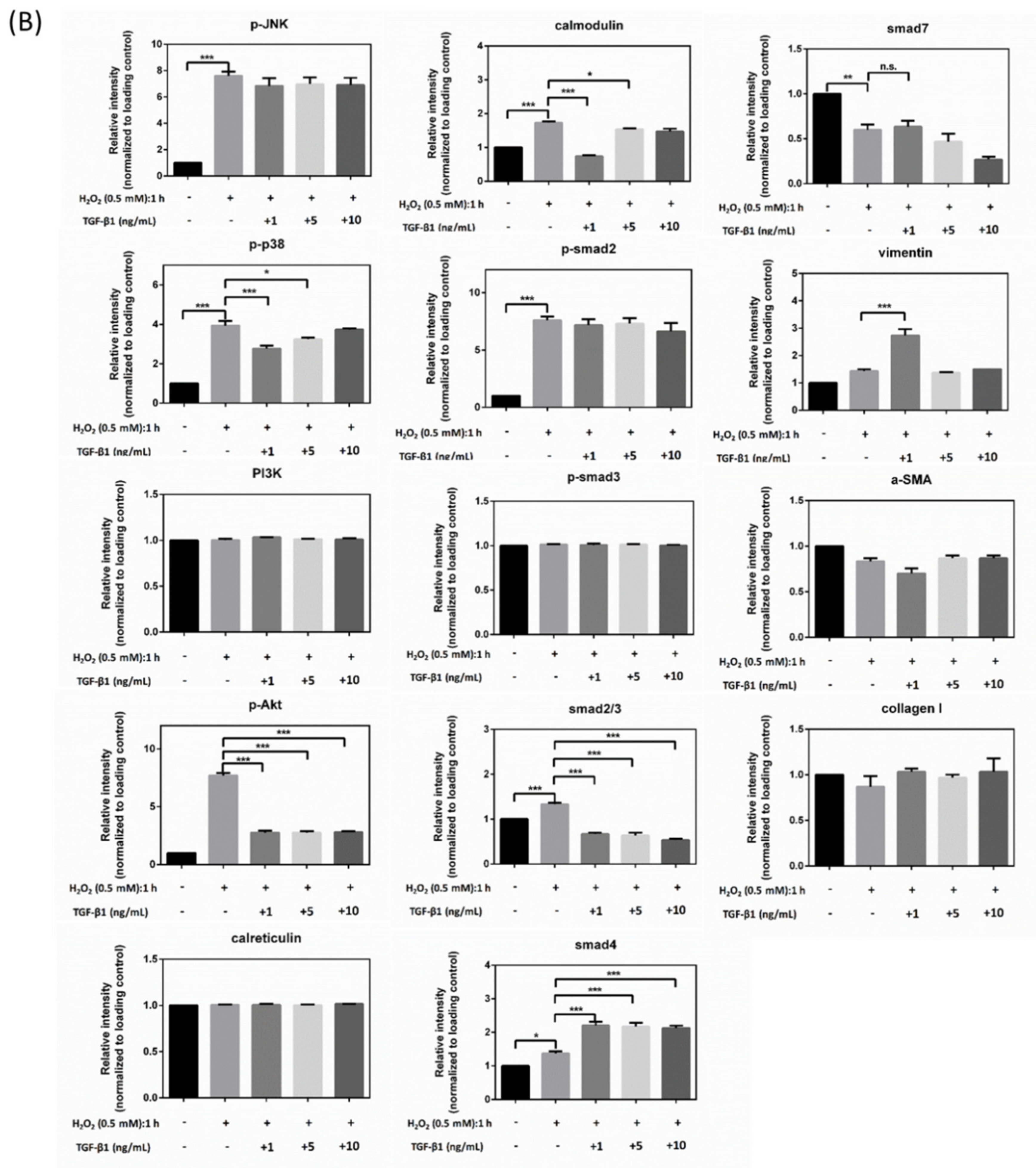 Antioxidants 10 00107 g005b Antioxidants 10 00107 g005b