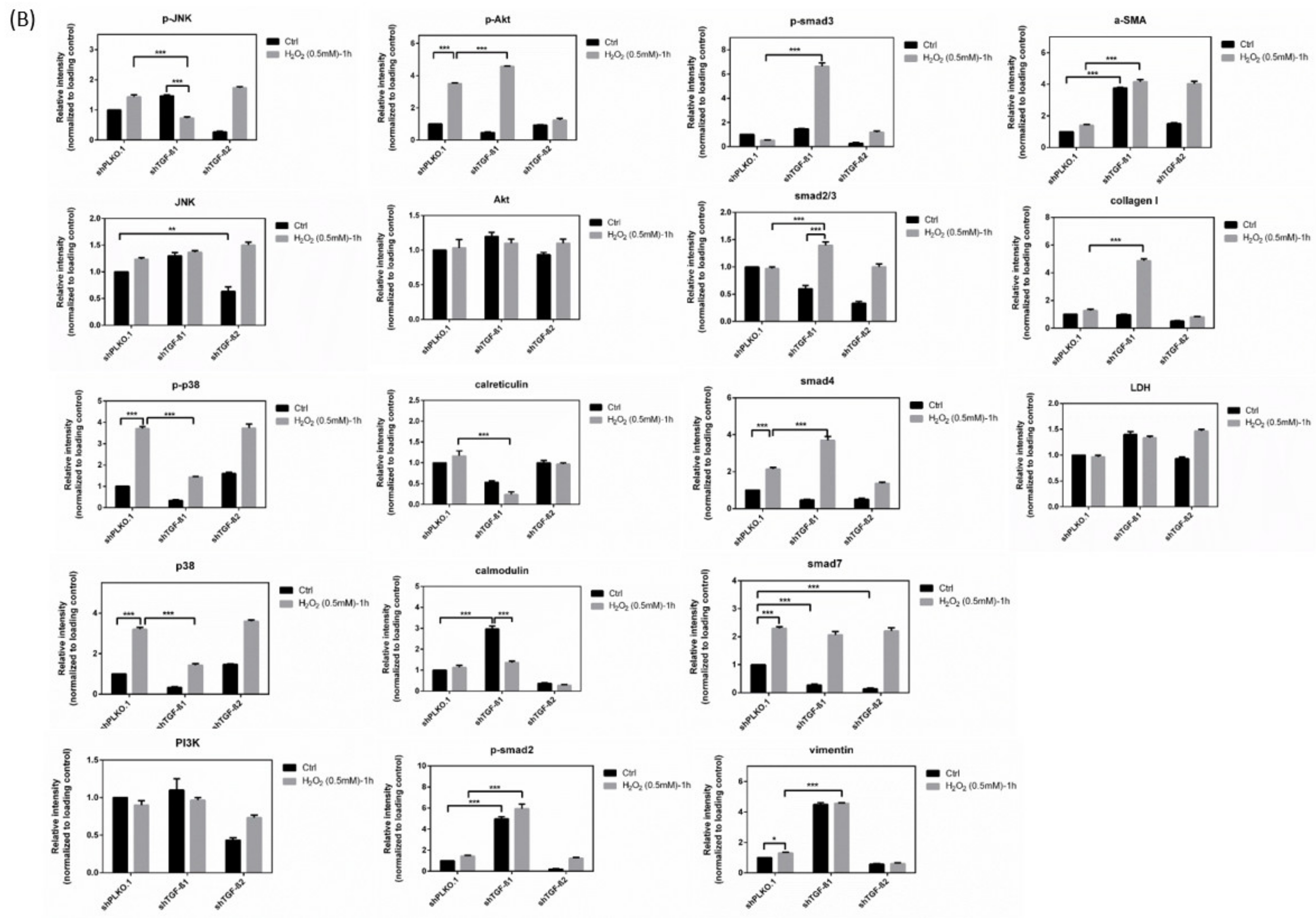 Antioxidants 10 00107 g008b Antioxidants 10 00107 g008b