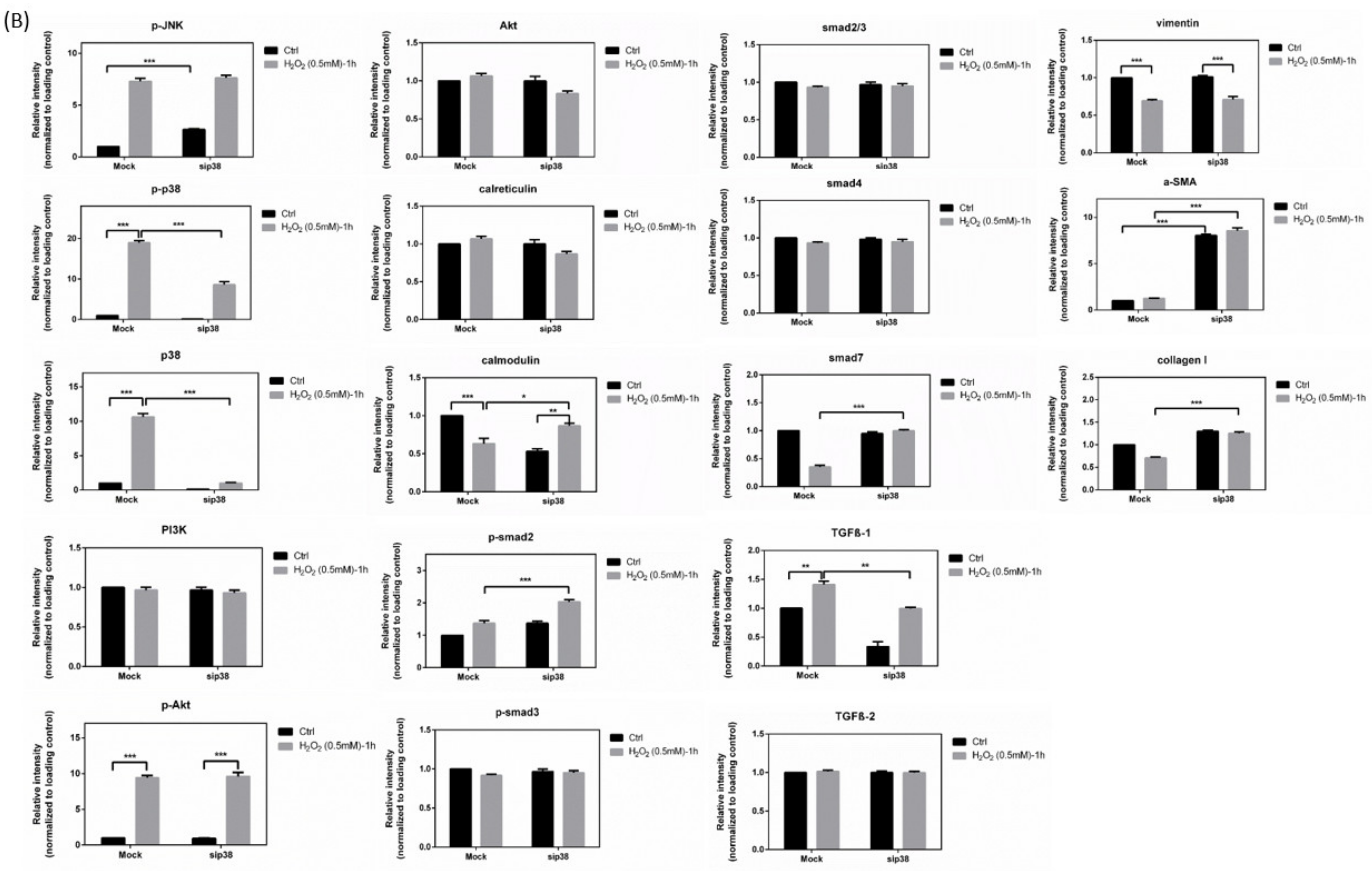 Antioxidants 10 00107 g010b Antioxidants 10 00107 g010b