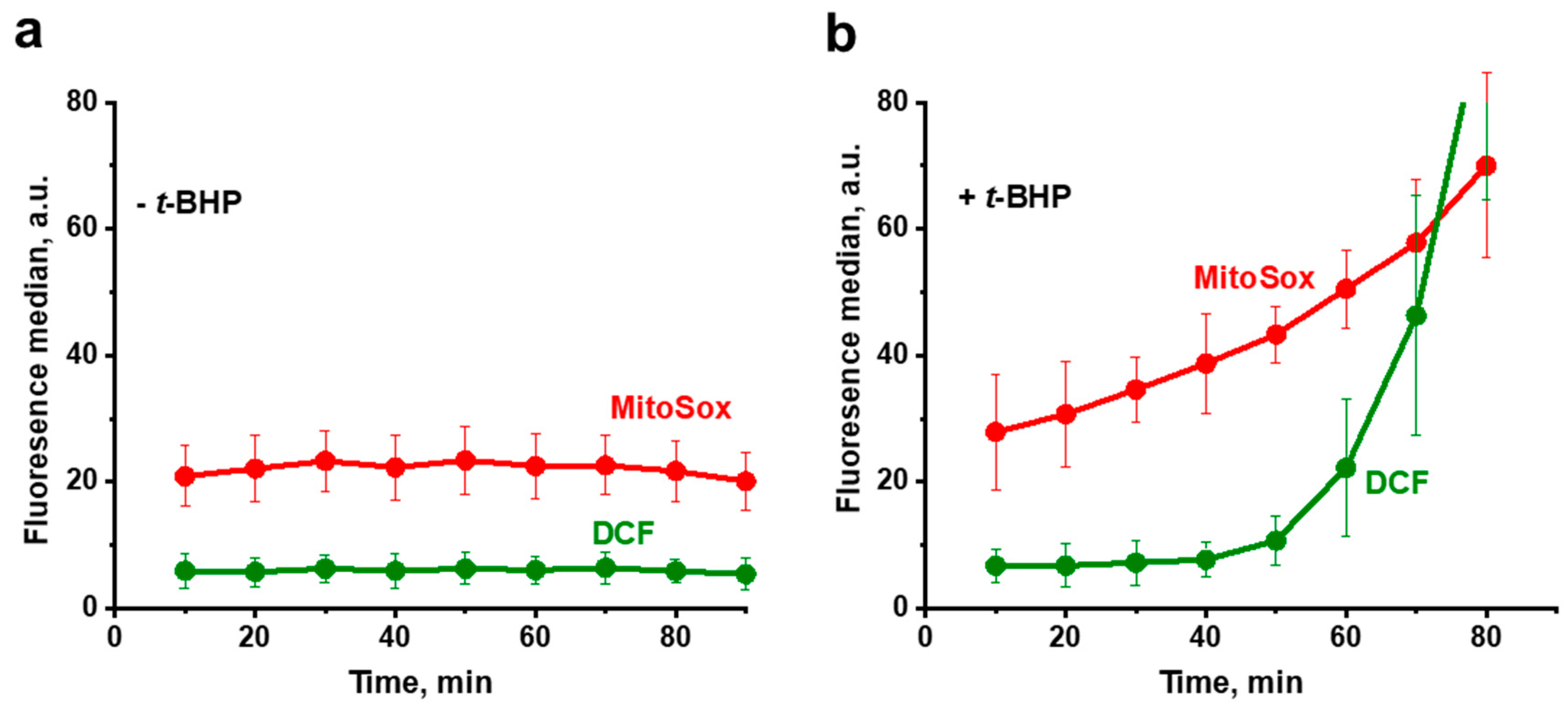 Antioxidants Free Full Text Propagation Of Mitochondria Derived Reactive Oxygen Species Within The Dipodascus Magnusii Cells Html