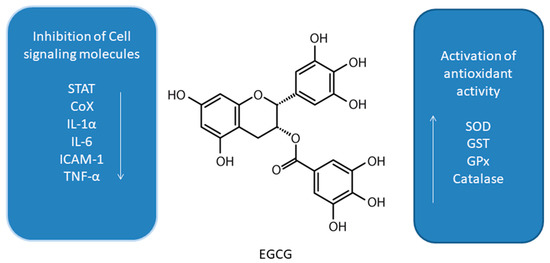 Antioxidants 10 00123 g001 550