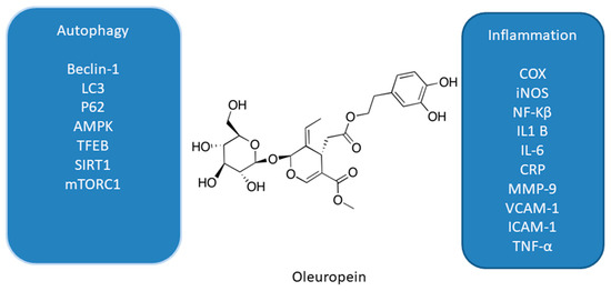 Antioxidants 10 00123 g002 550