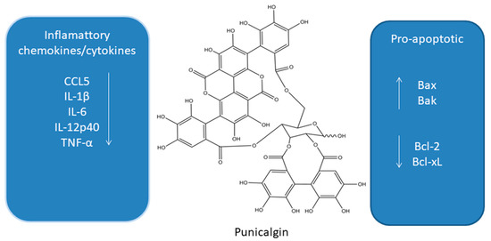 Antioxidants 10 00123 g003 550