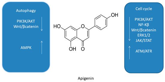 Antioxidants 10 00123 g004 550