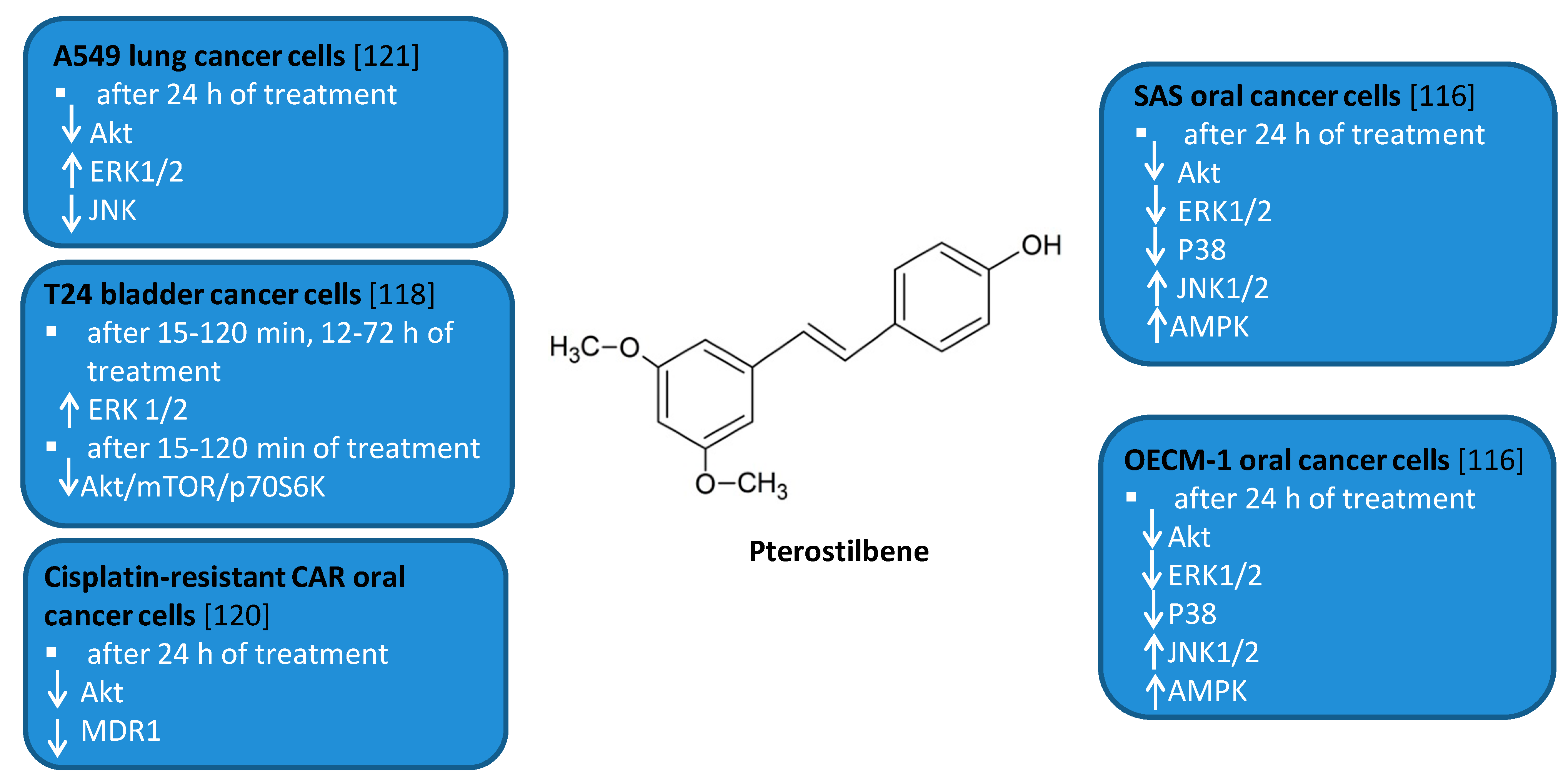 Antioxidants 10 00123 g006 Antioxidants 10 00123 g006
