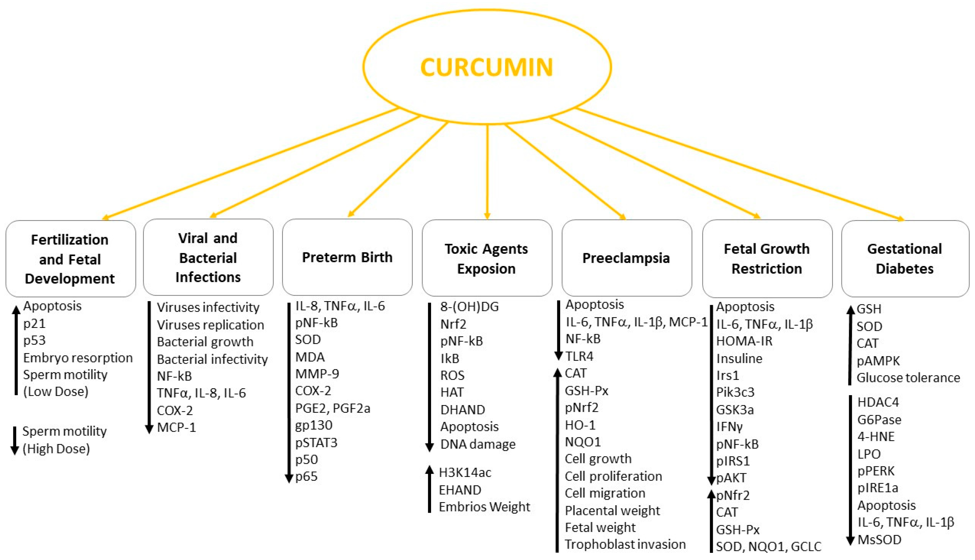 Antioxidants 10 00126 g002 Antioxidants 10 00126 g002